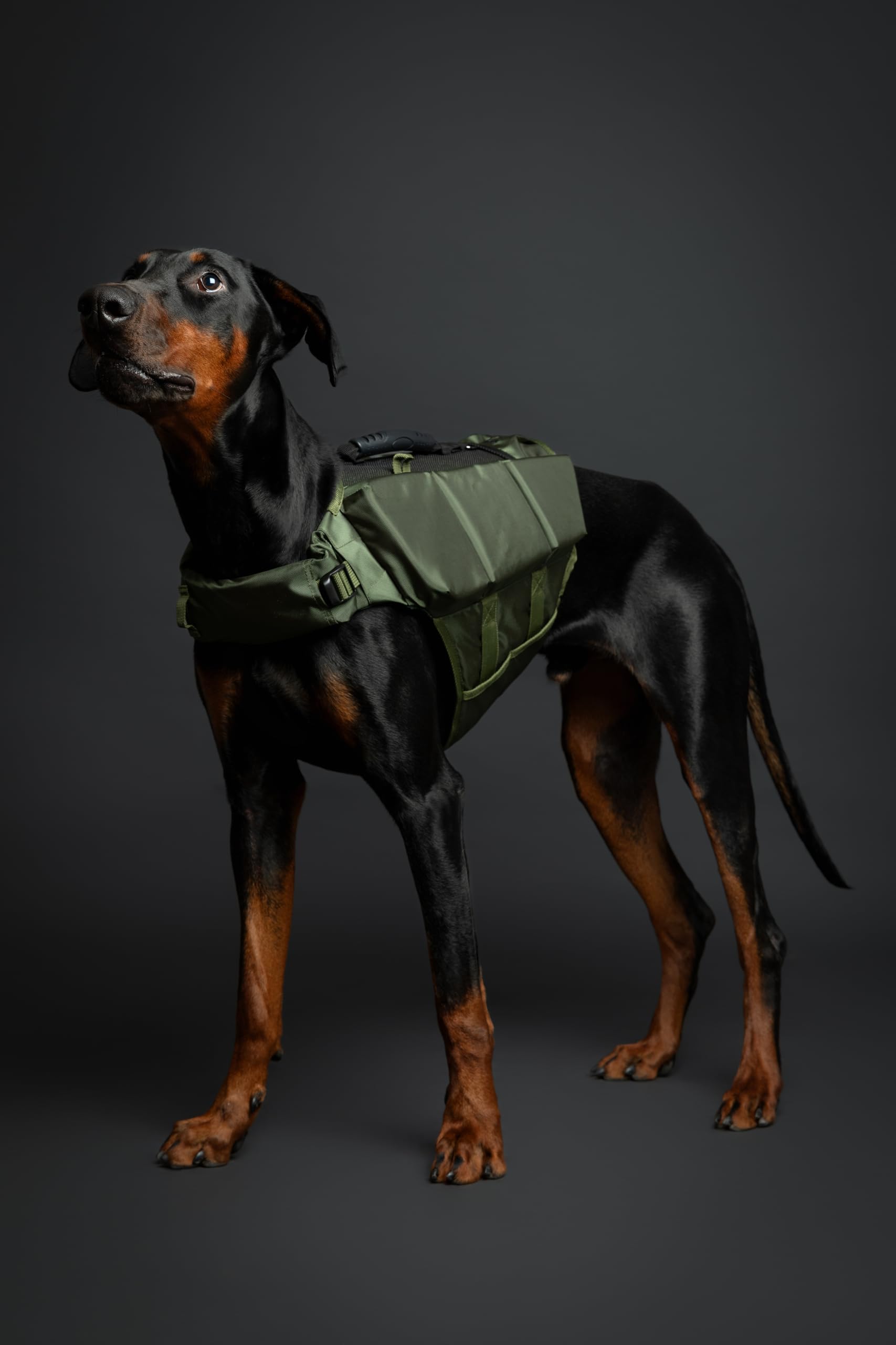 NOAH & PAW 3x foam side support assists stable flotation and easy water entry.