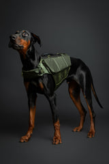 NOAH & PAW 3x foam side support assists stable flotation and easy water entry.