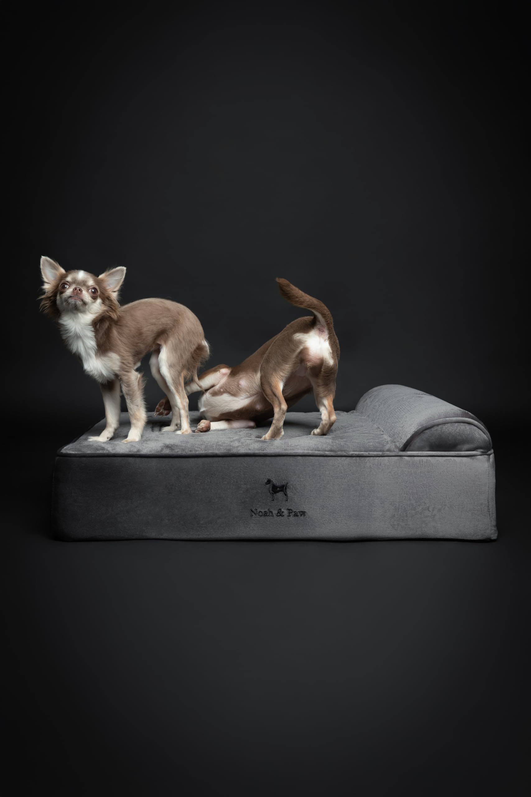 NOAH & PAW 6-inch orthopedic base illustration underlines strong, stable support.