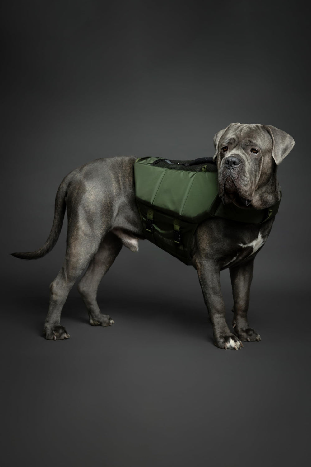 NOAH & PAW breathable mesh ventilation keeps skin cool and comfortable during outdoor water play.