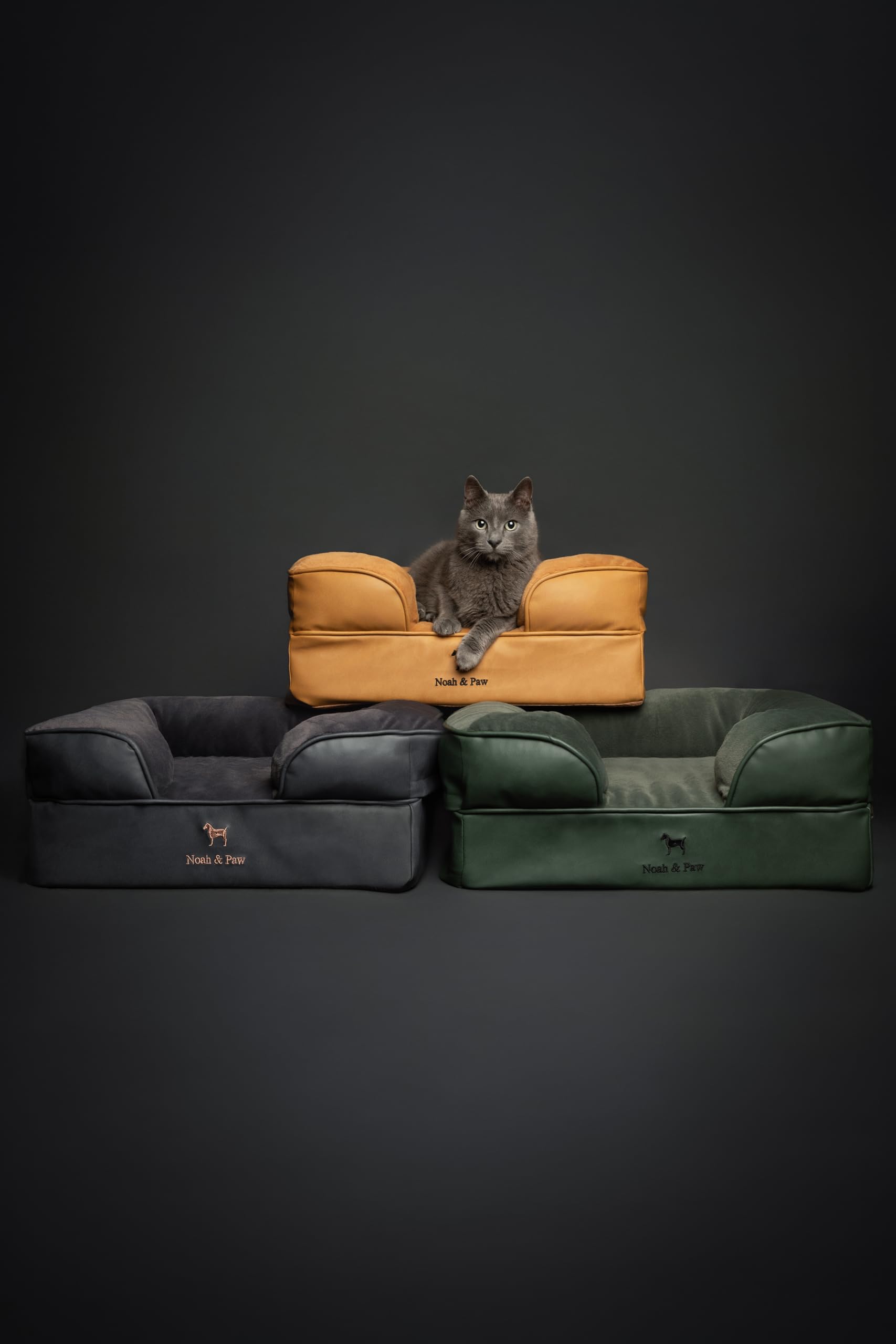NOAH & PAW cat-bed-indoors proves cozy lounging spot for indoor cats