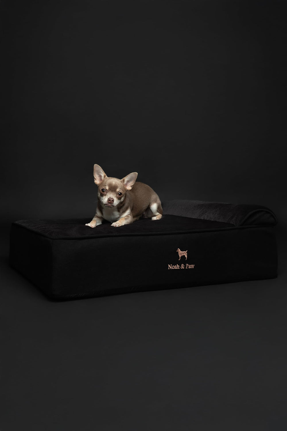NOAH & PAW closeup-sturdy-foam-assembly shows durable construction.