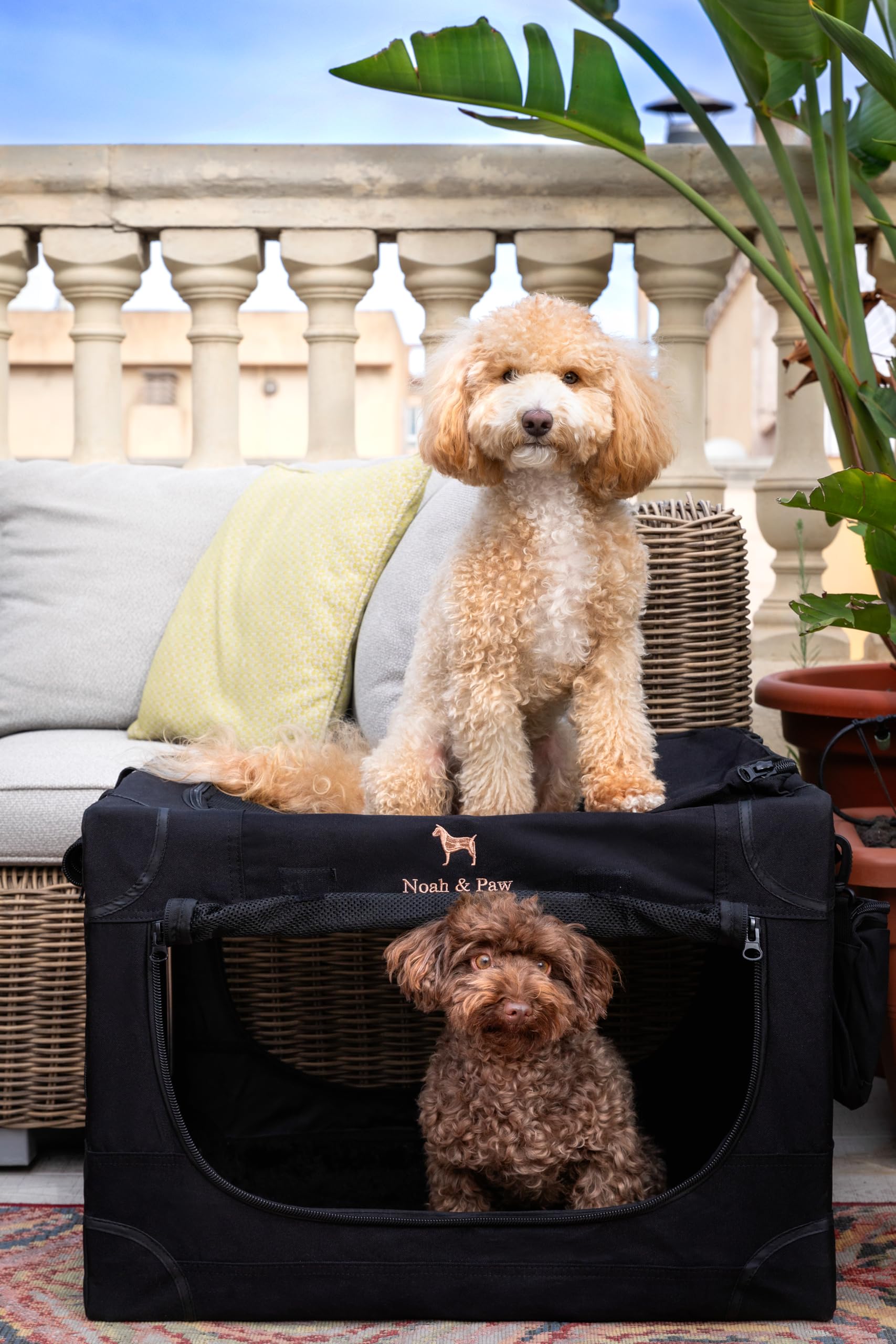 Noah & Paw collapsible dog crate 26-inch open doors illustrate strong airflow and easy access.