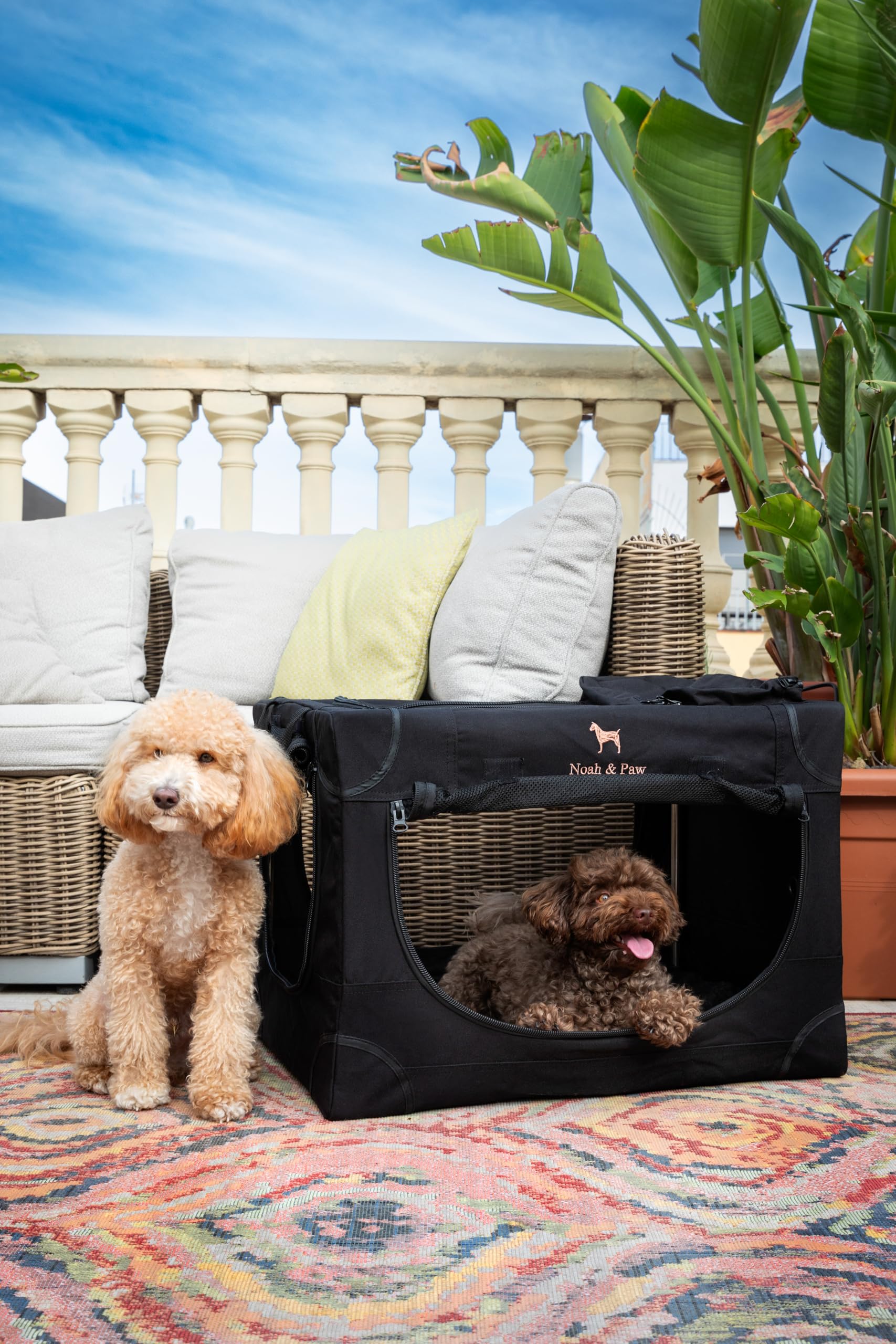 Noah & Paw collapsible dog crate bed mattress inside for cozy resting during travel.