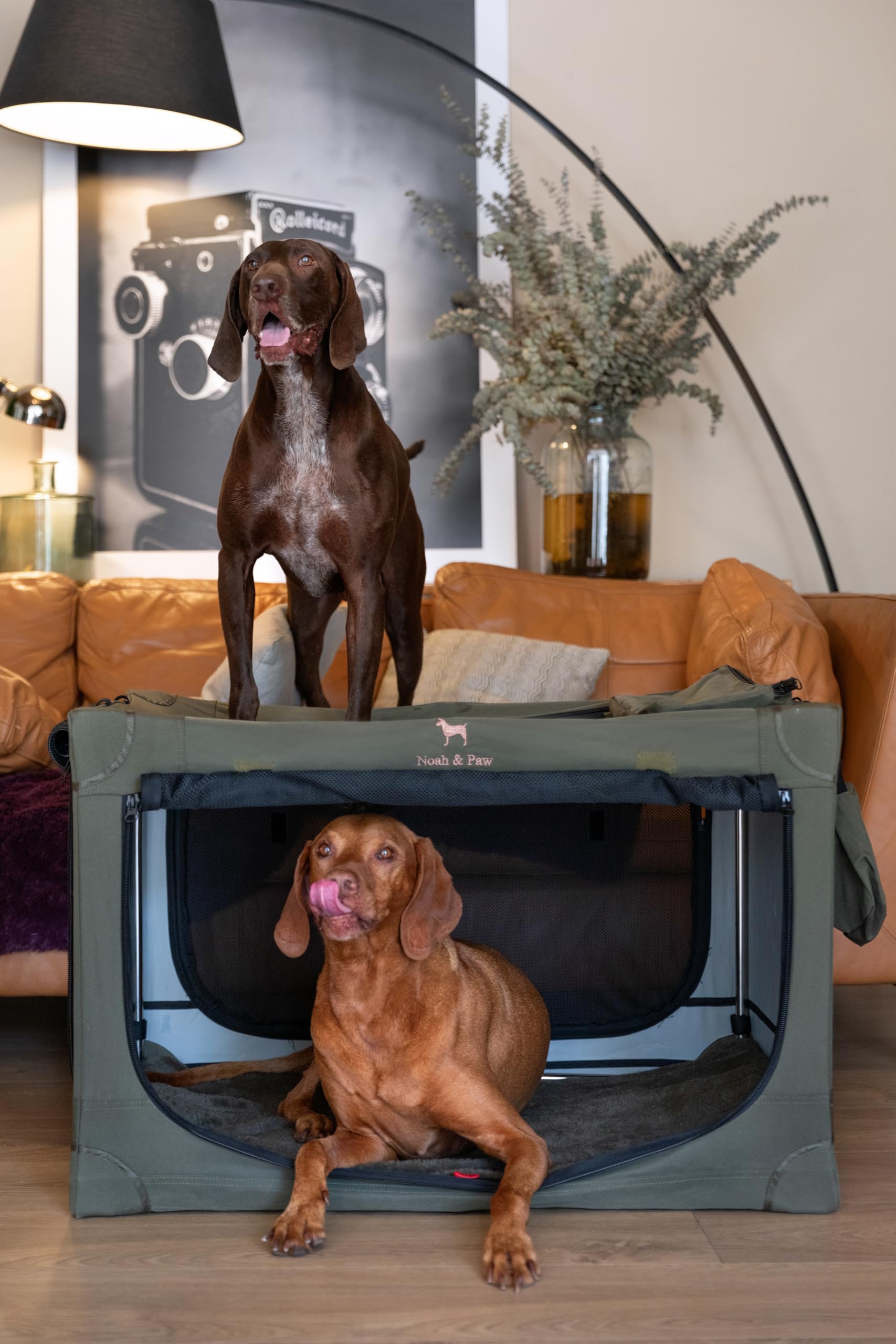 Noah and Paw collapsible crate folded compact for easy storage and quick setup.