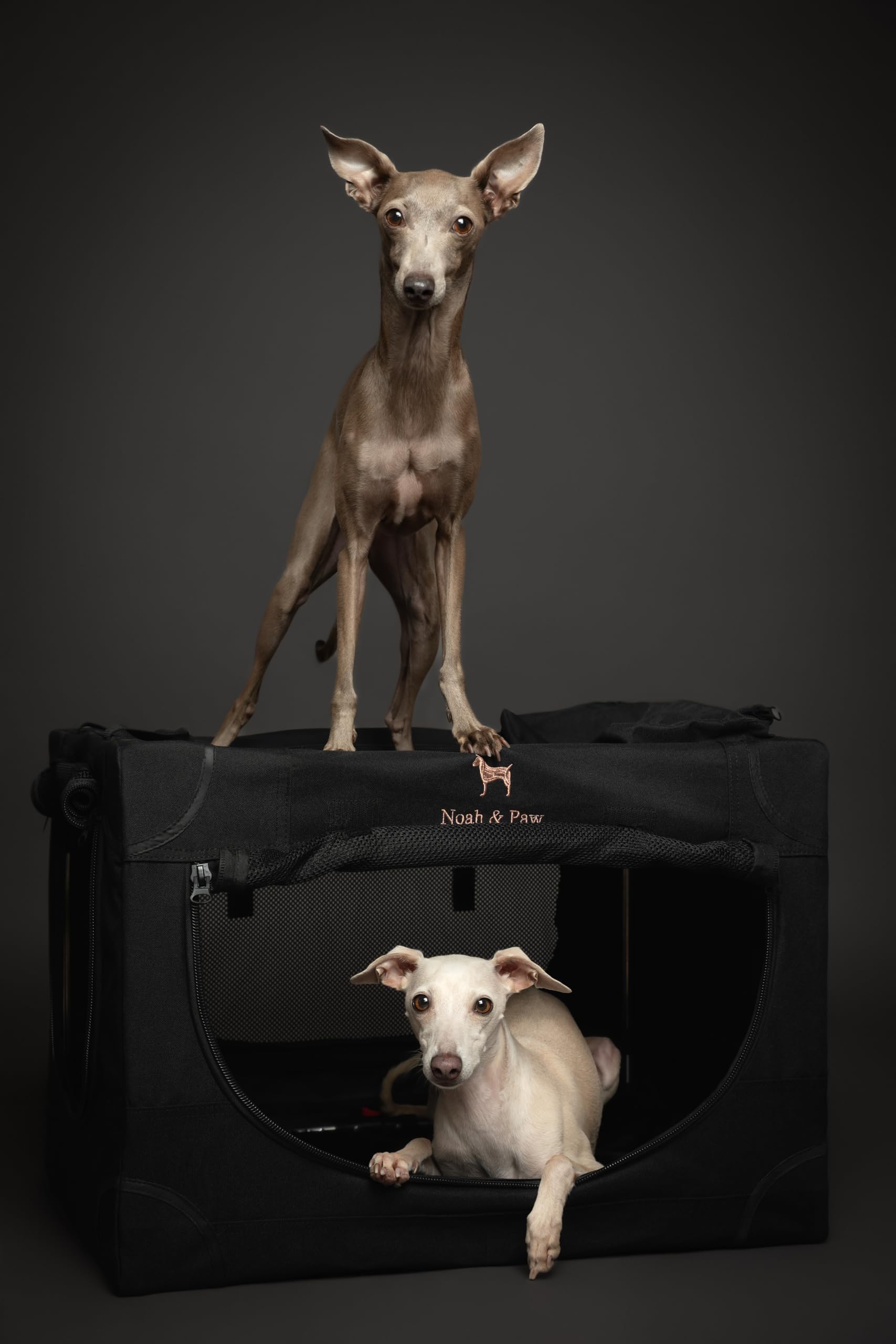 Noah & Paw mesh doors provide airflow and pet visibility.