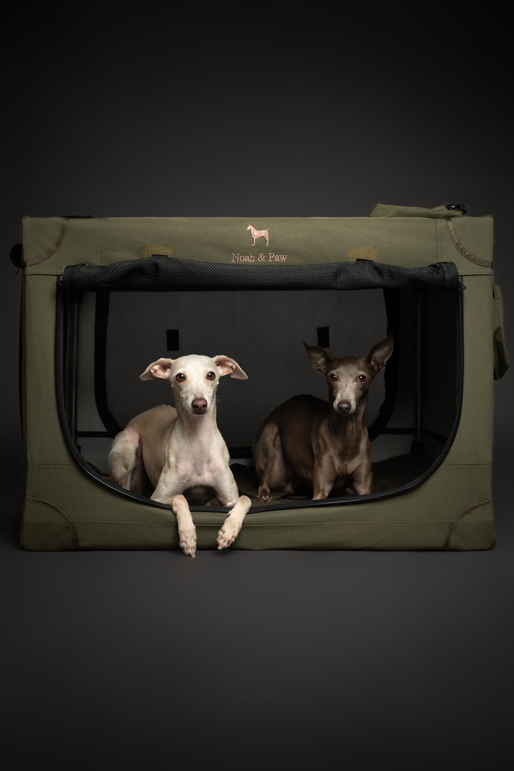 Noah & Paw collapsible crate removable washable bed for easy cleaning.