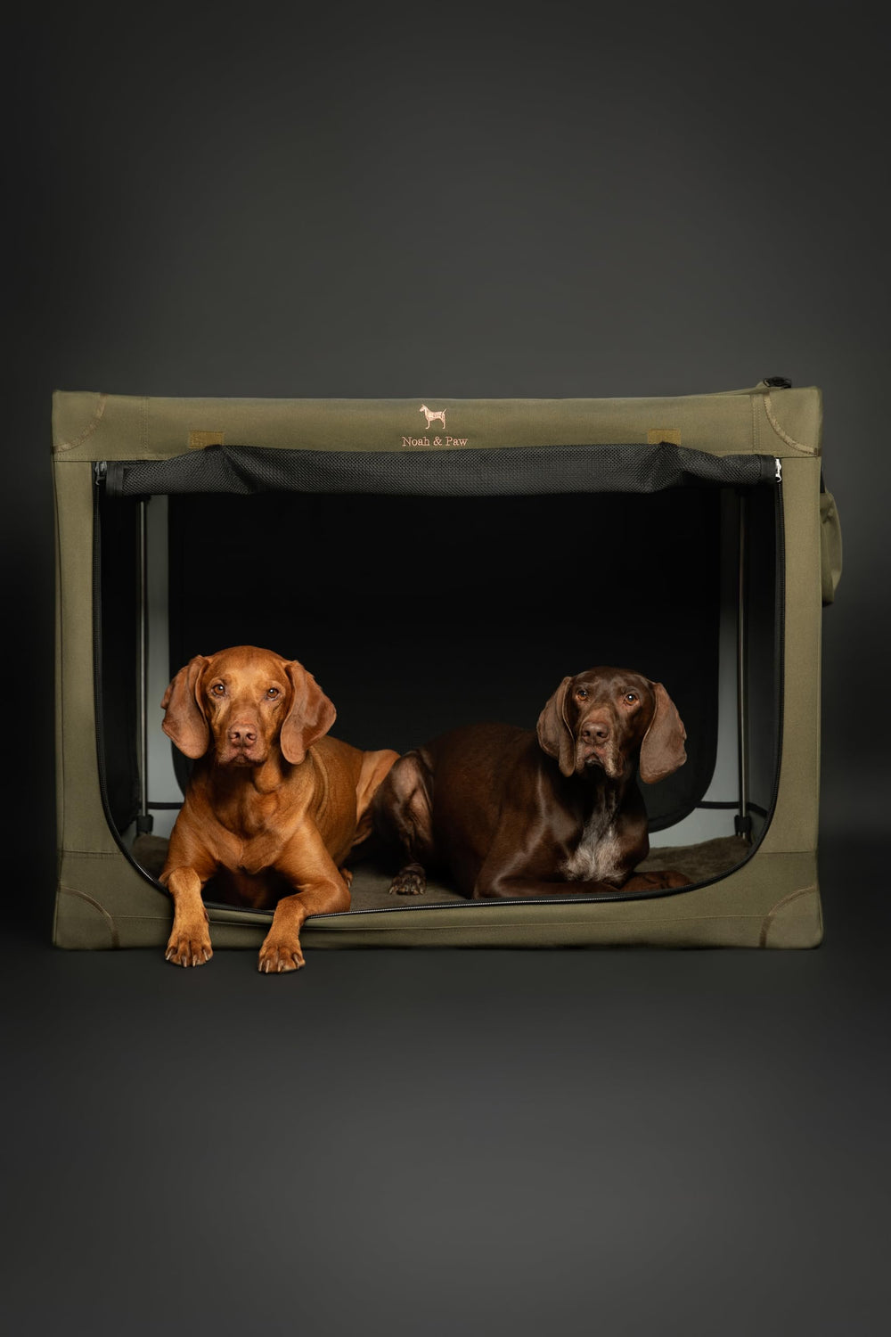 Noah and Paw crate removable washable cover for easy cleaning.