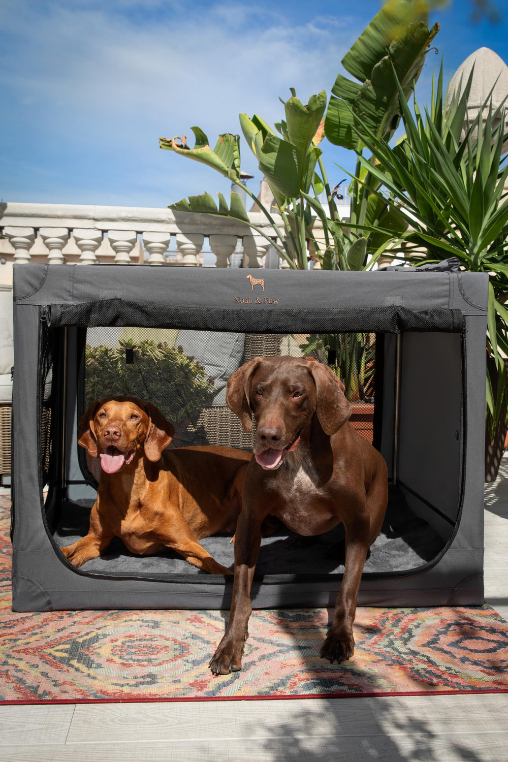 NOAH & PAW crate frame highlighting stainless-steel construction