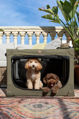 Noah & Paw collapsible crate stainless steel frame provides durable support.