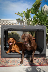 NOAH & PAW crate frame highlighting stainless-steel construction