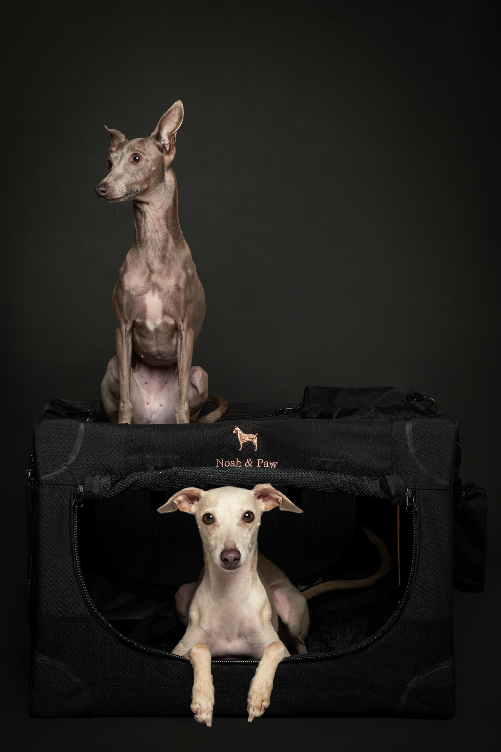 Noah & Paw crate with storage bag keeps accessories organized.