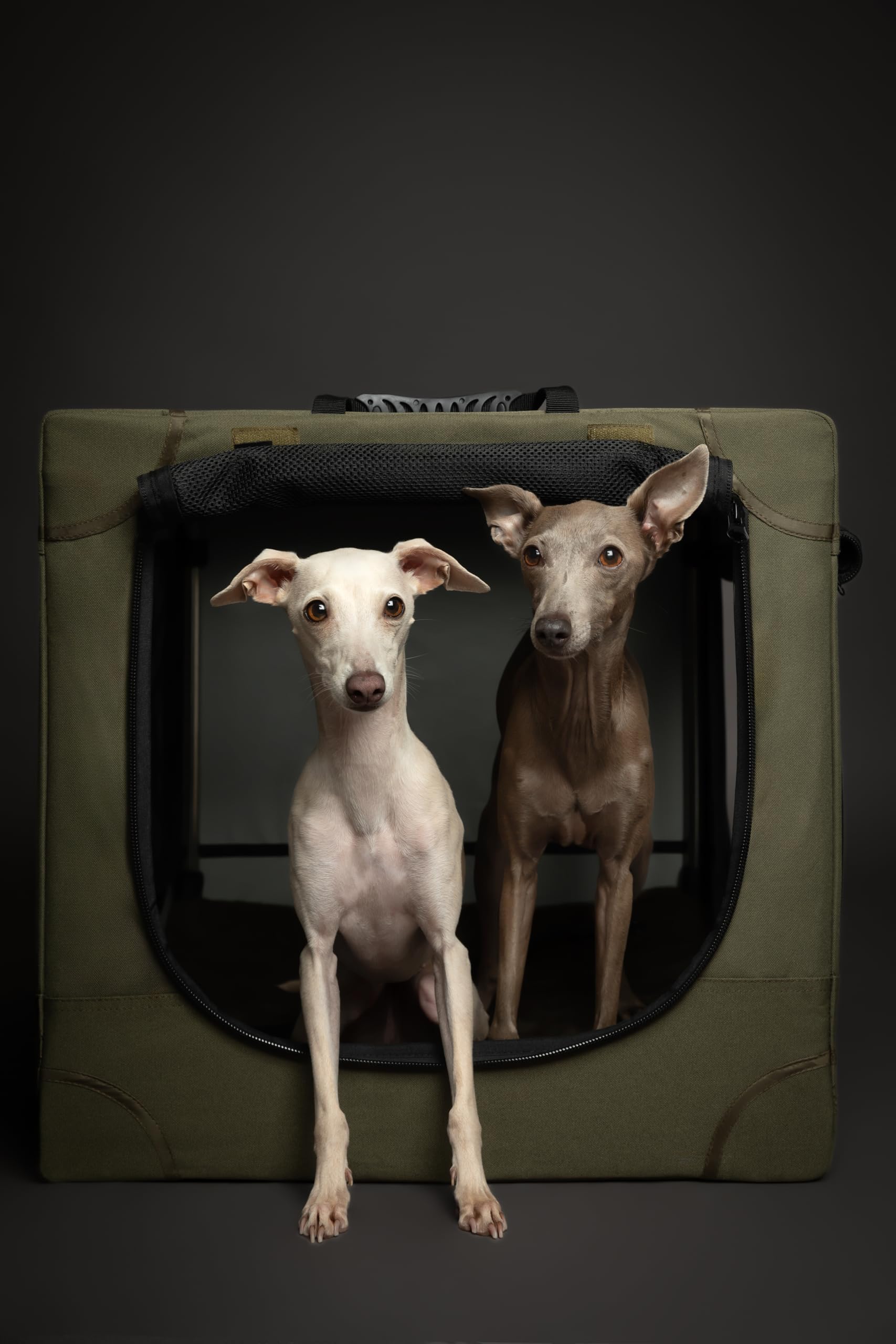 Noah & Paw collapsible crate two travel pockets and storage bag convenience.