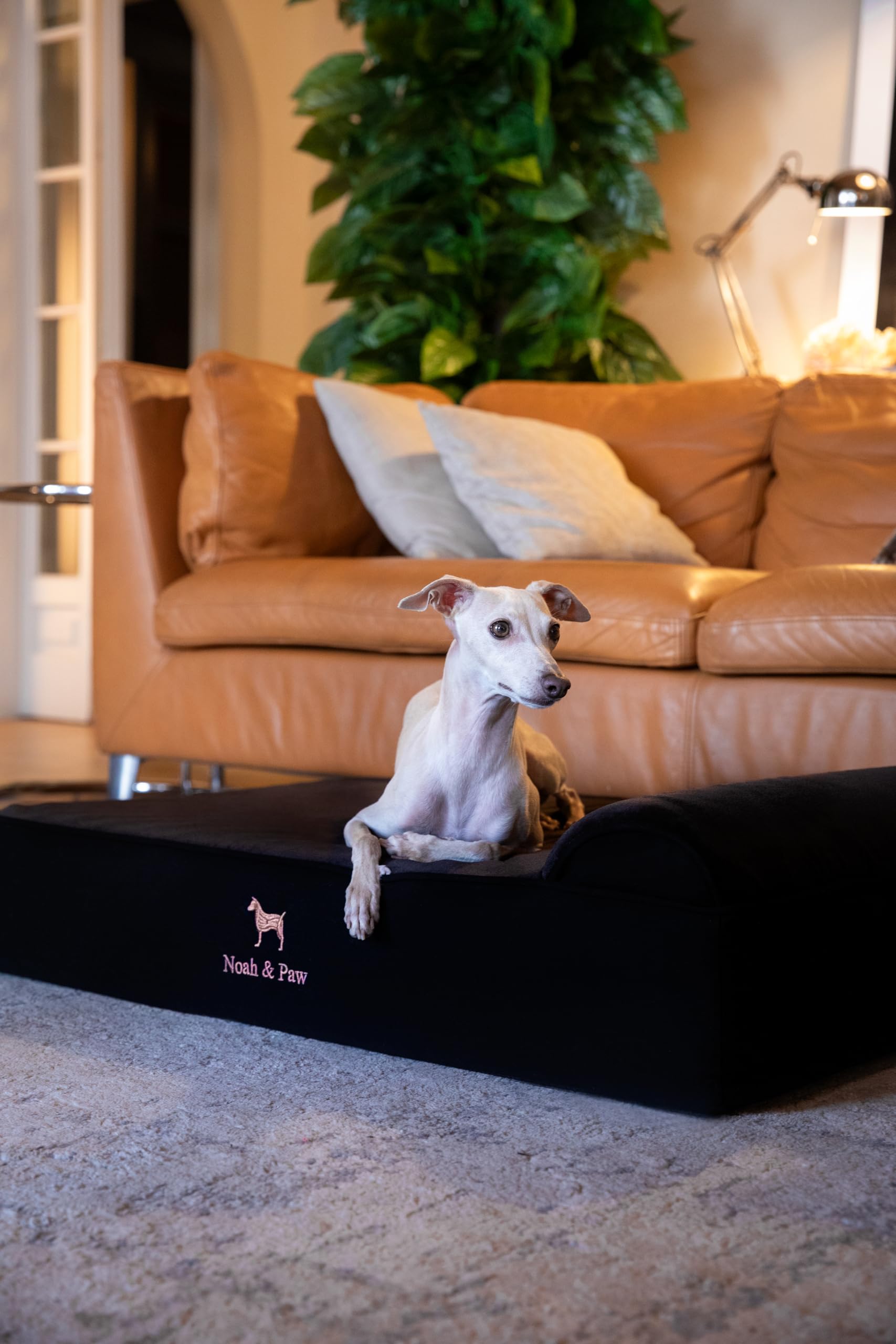 NOAH & PAW denim bed foam layer cross-section highlighting 3-layer support