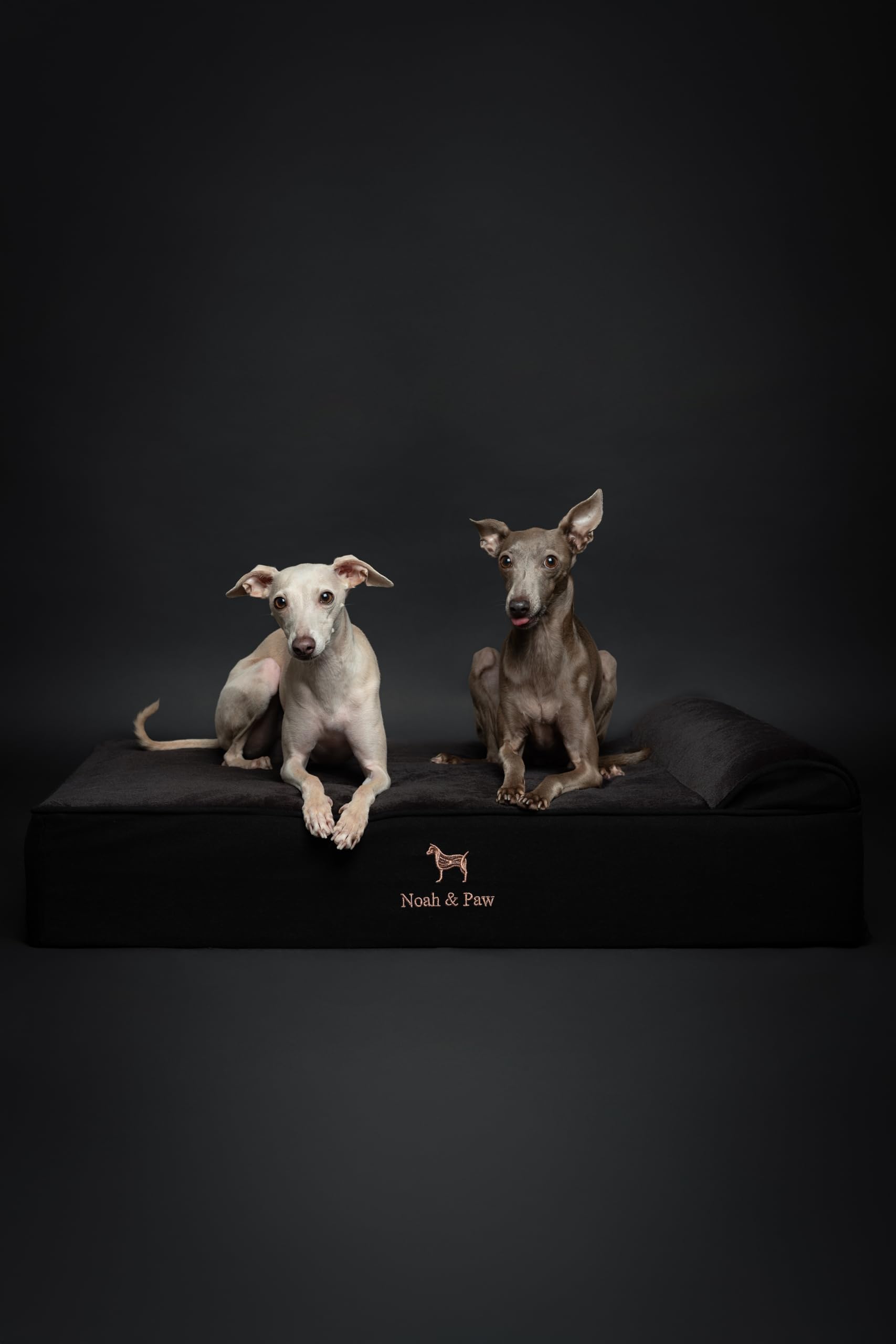 NOAH & PAW denim large dog bed in living room setup for big breeds