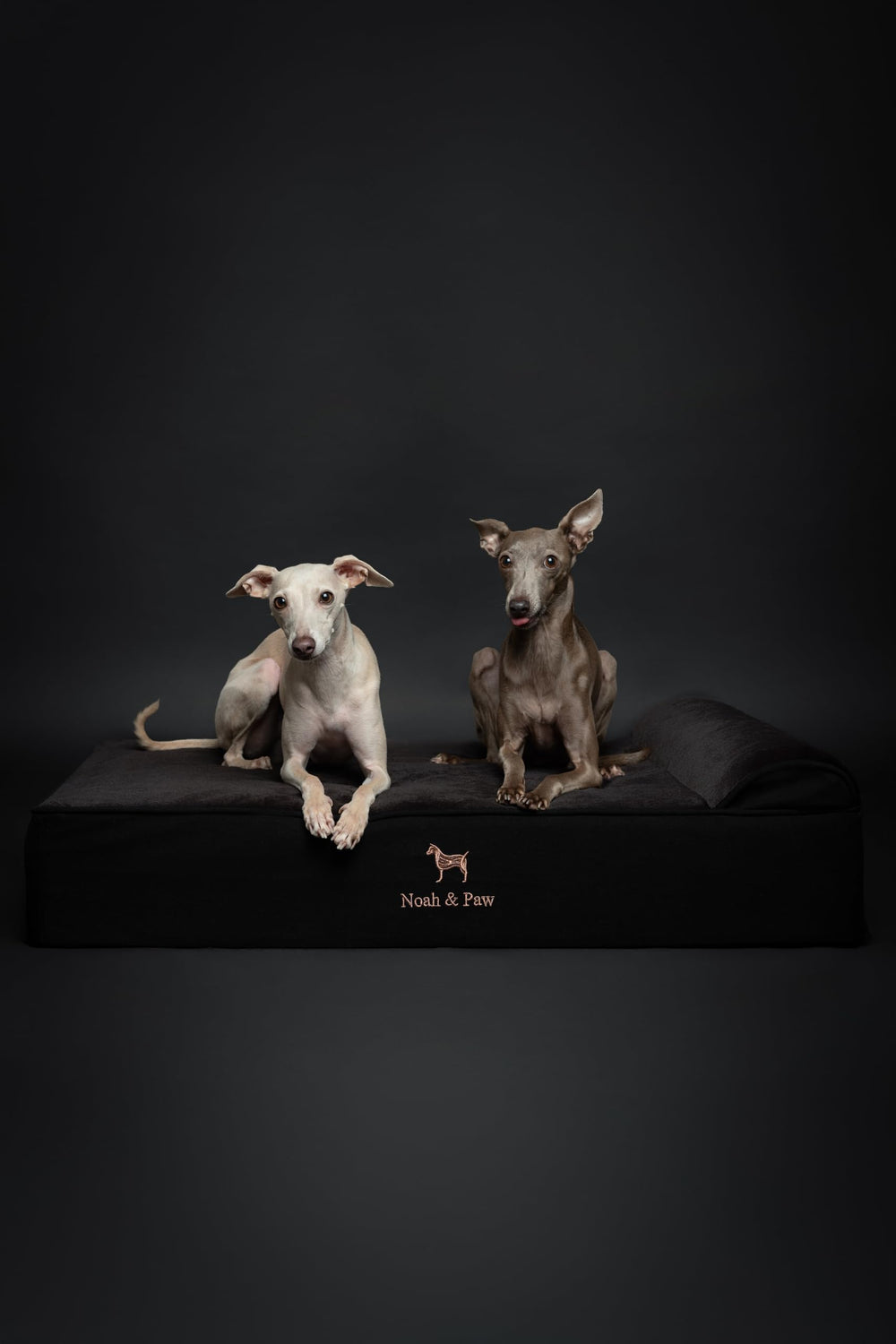 NOAH & PAW denim large dog bed in living room setup for big breeds