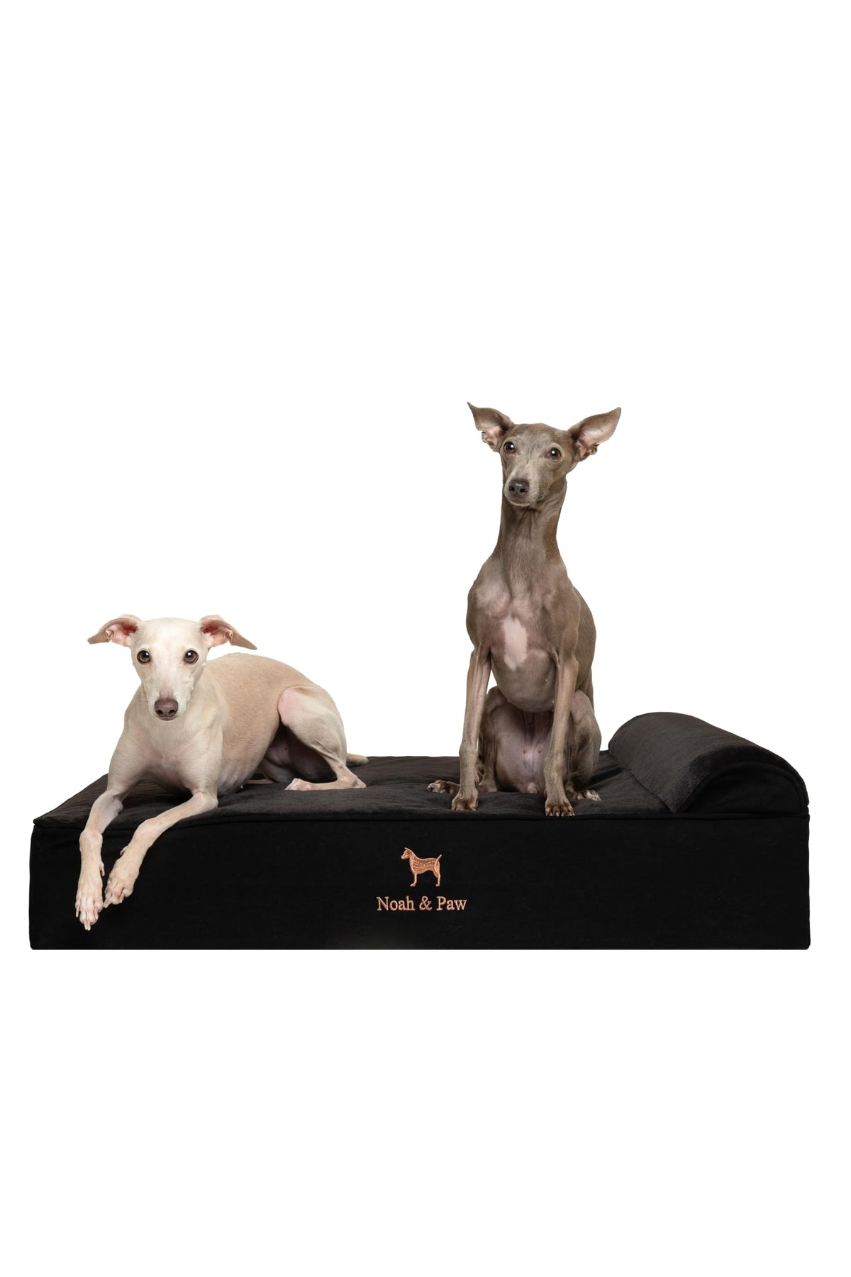 NOAH & PAW denim large dog bed top view showing roomy space for big dogs