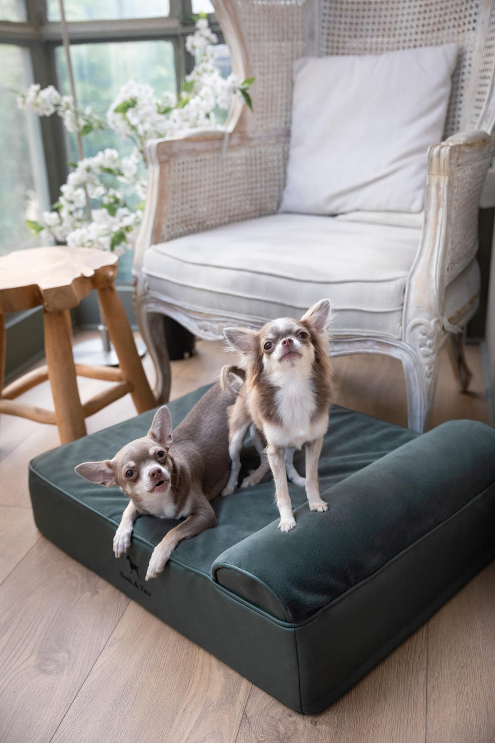 NOAH & PAW two washable covers for convenient maintenance