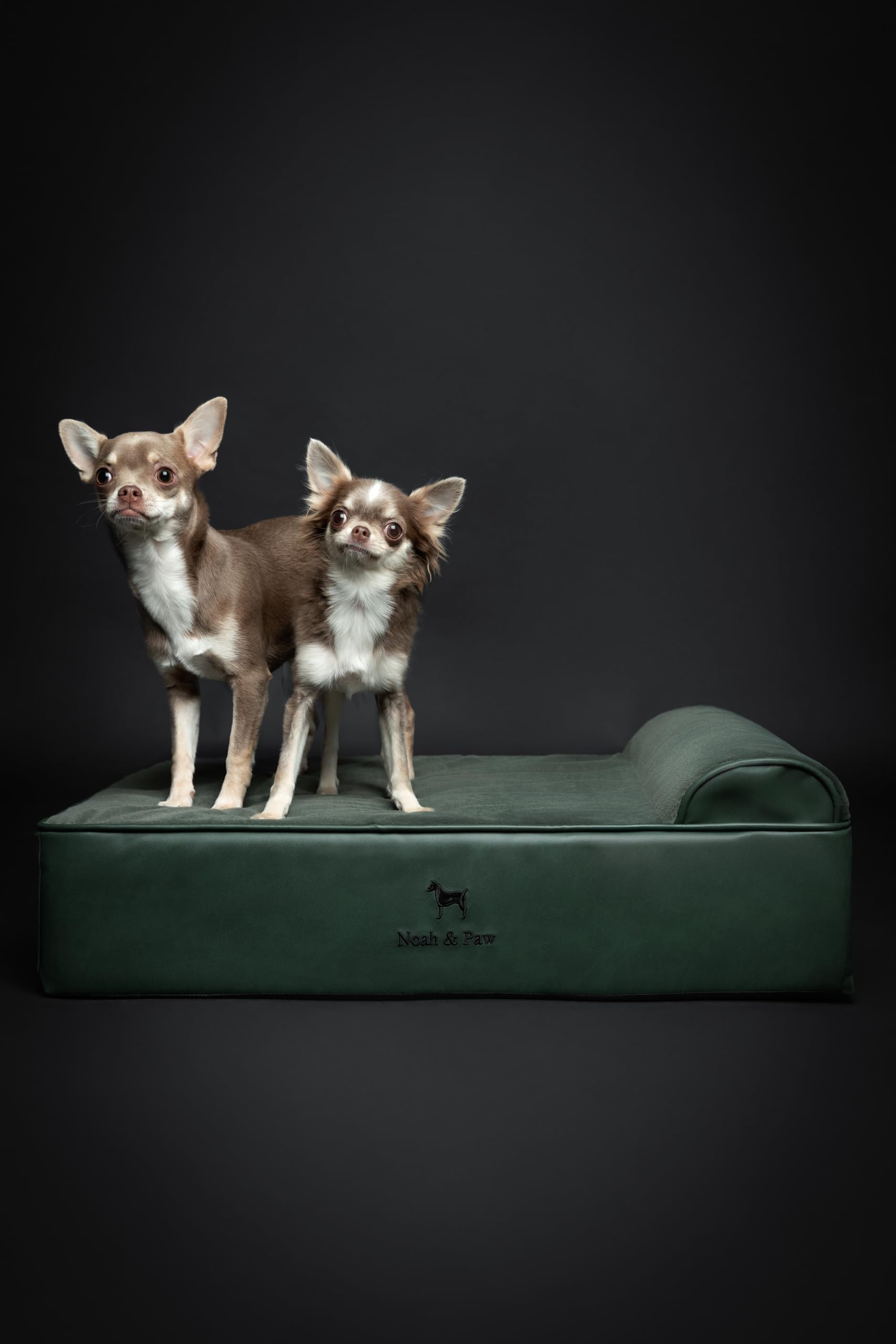 NOAH & PAW eggshell foam infused with cooling gel for breathable rest