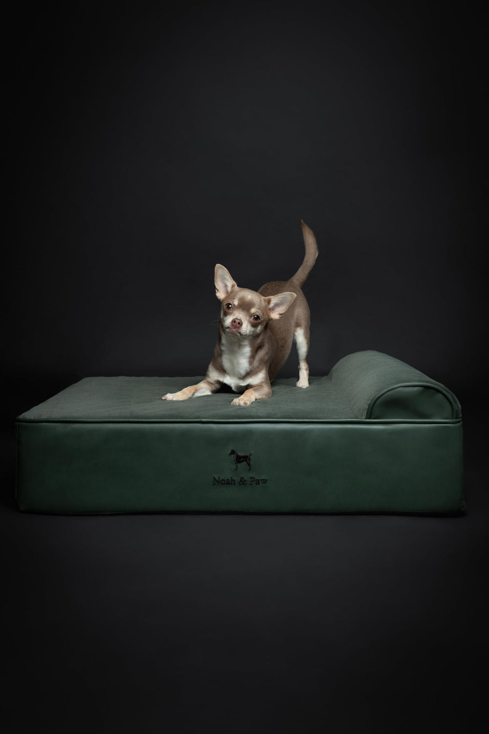 NOAH & PAW faux leather top offering a durable wipe-clean surface