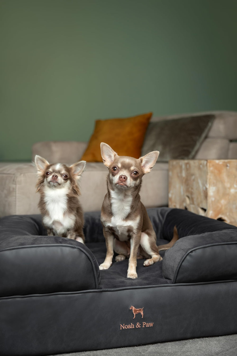 NOAH & PAW dog bed inner cover showing double-layer protection