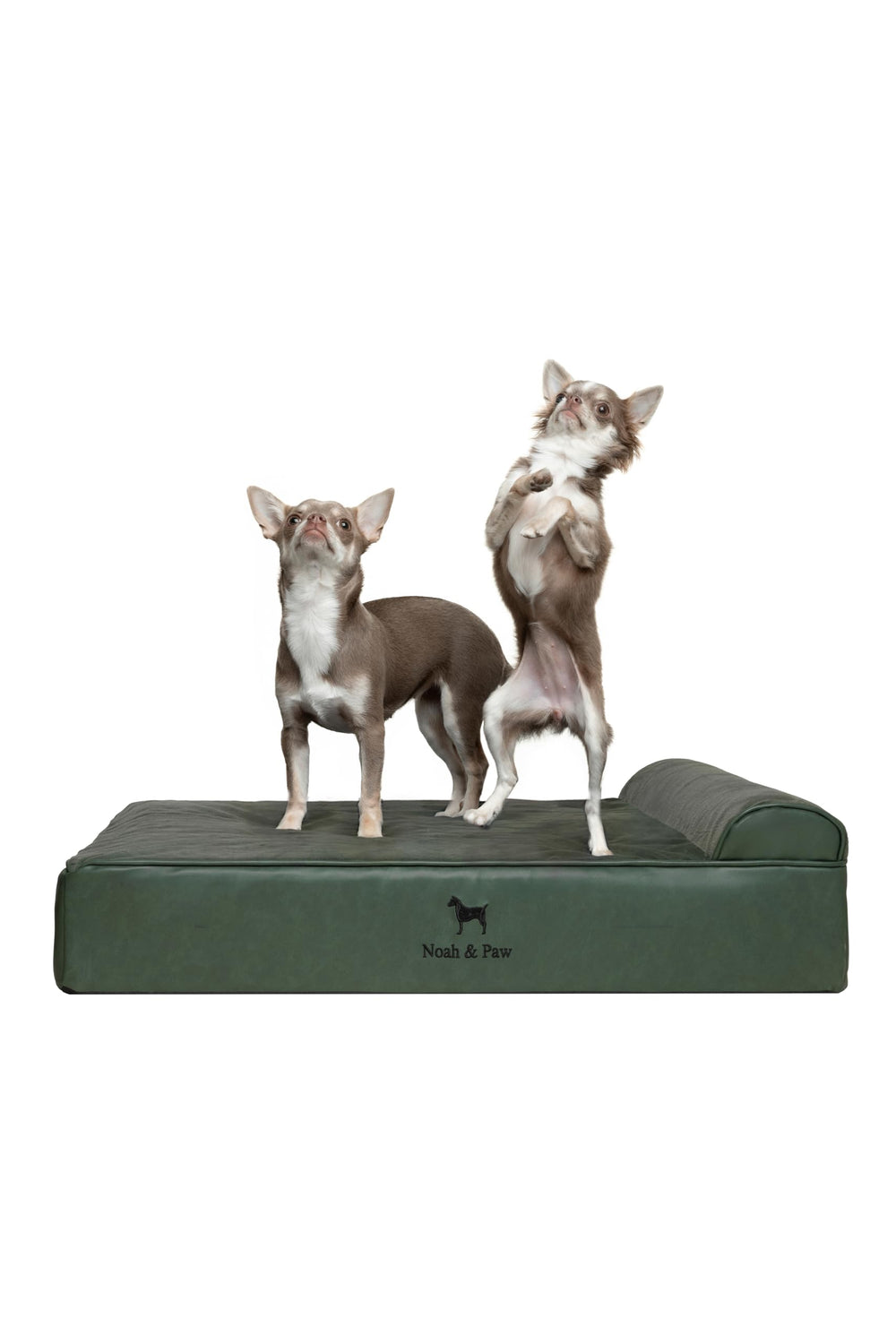 NOAH & PAW dog bed with inner cover highlighted for easy cleaning and comfort
