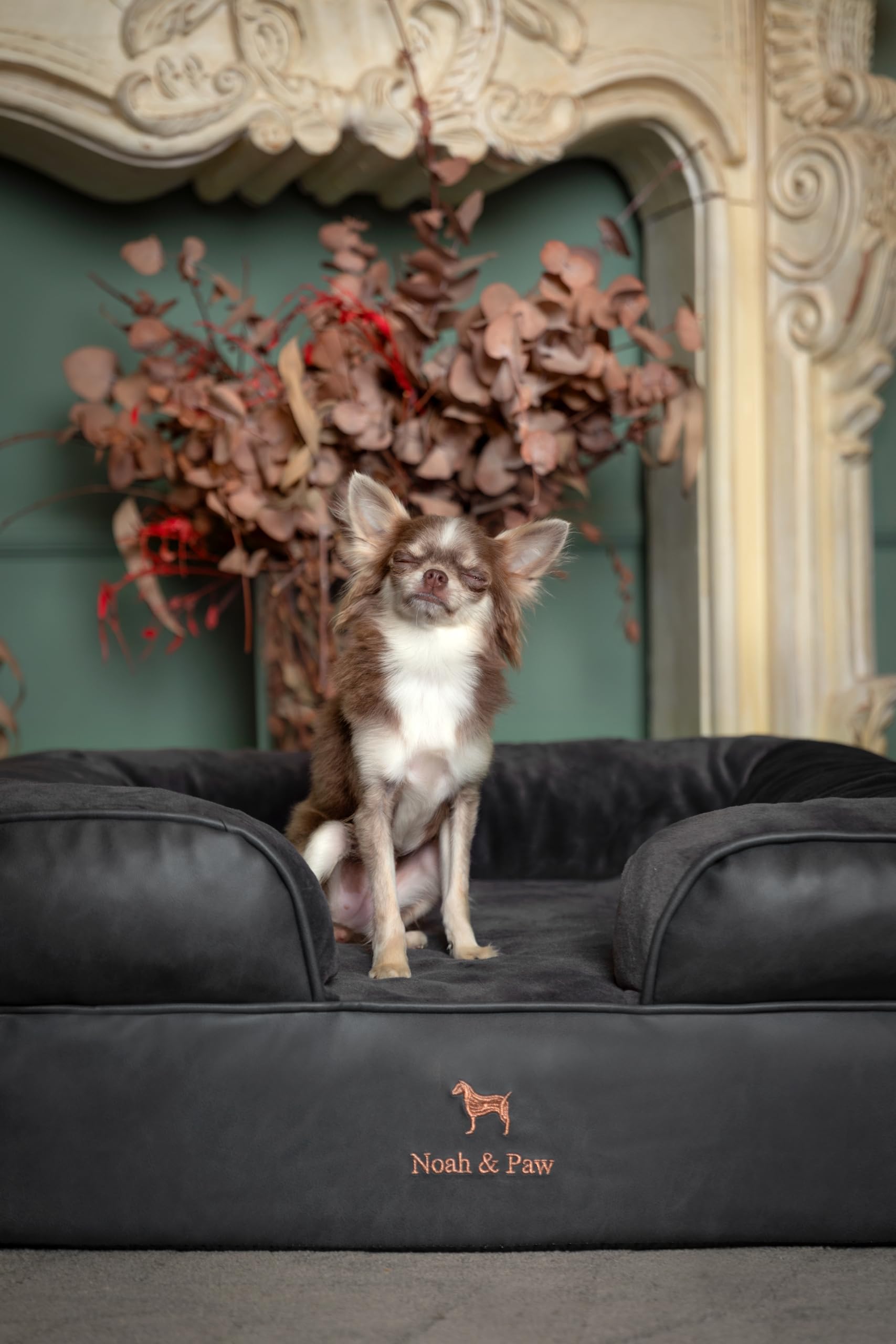 NOAH & PAW orthopedic design emphasizes ergonomic posture cradle