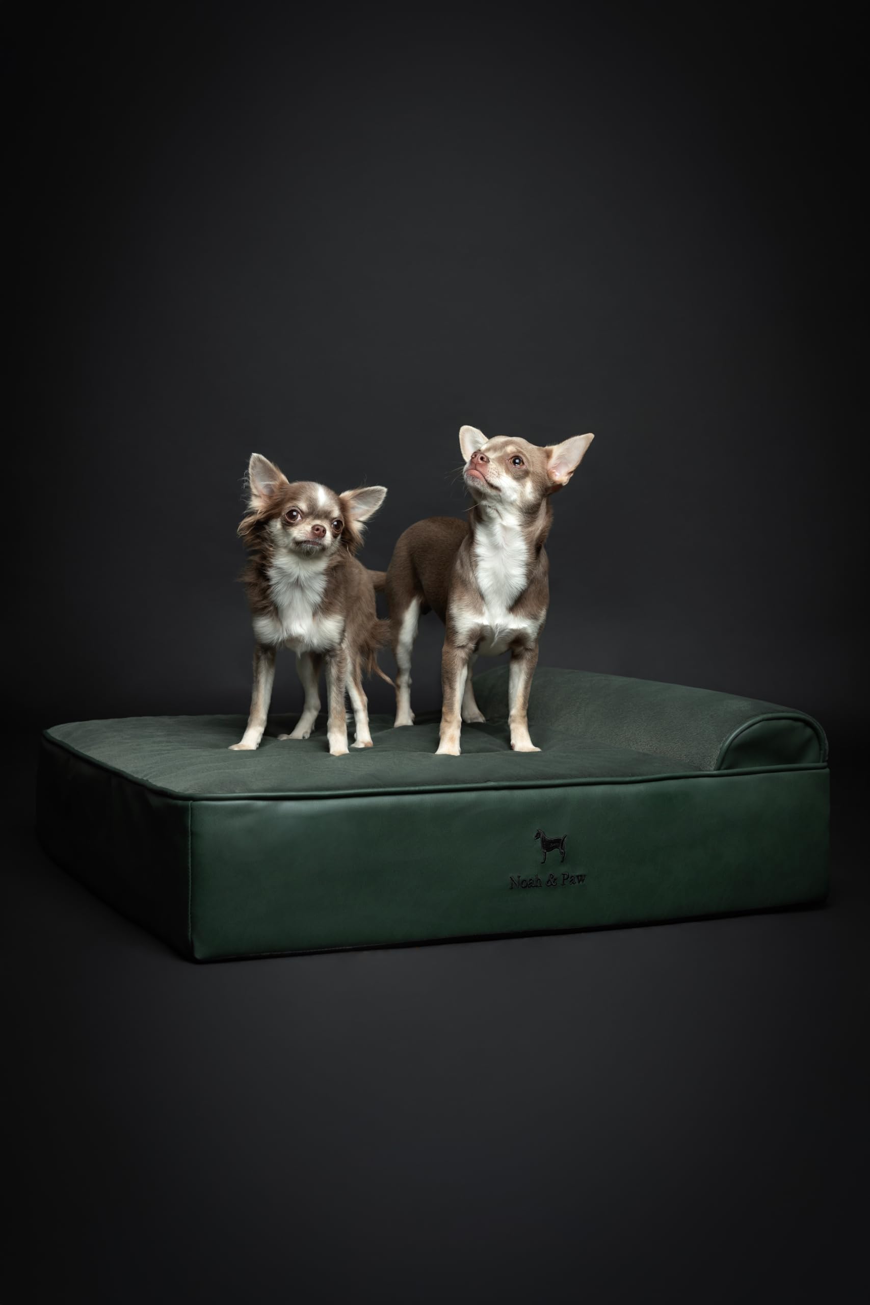 NOAH & PAW orthopedic-inspired design cradles joints and promotes posture