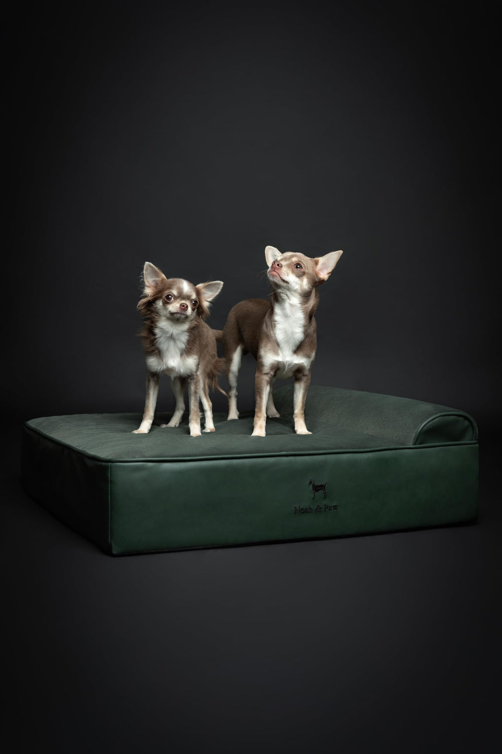NOAH & PAW orthopedic-inspired design cradles joints and promotes posture