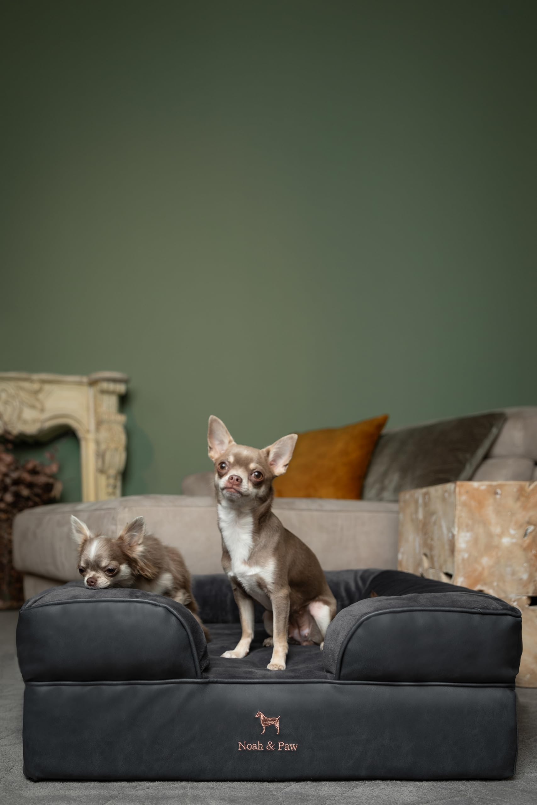 NOAH & PAW waterproof cover protects against accidents and spills