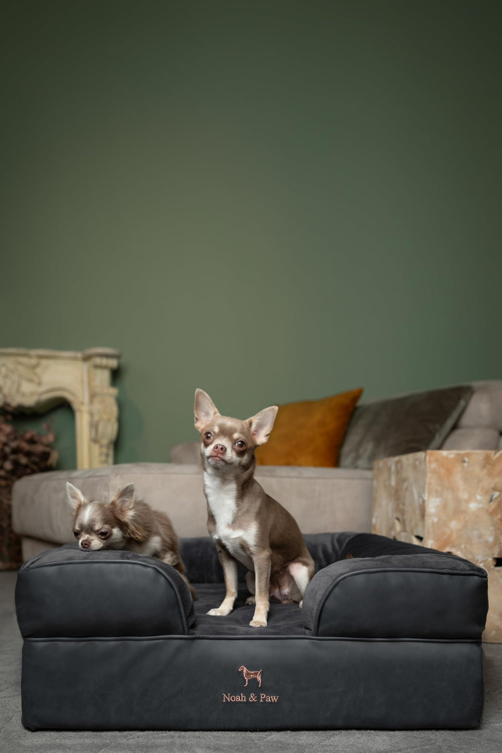 NOAH & PAW waterproof cover protects against accidents and spills
