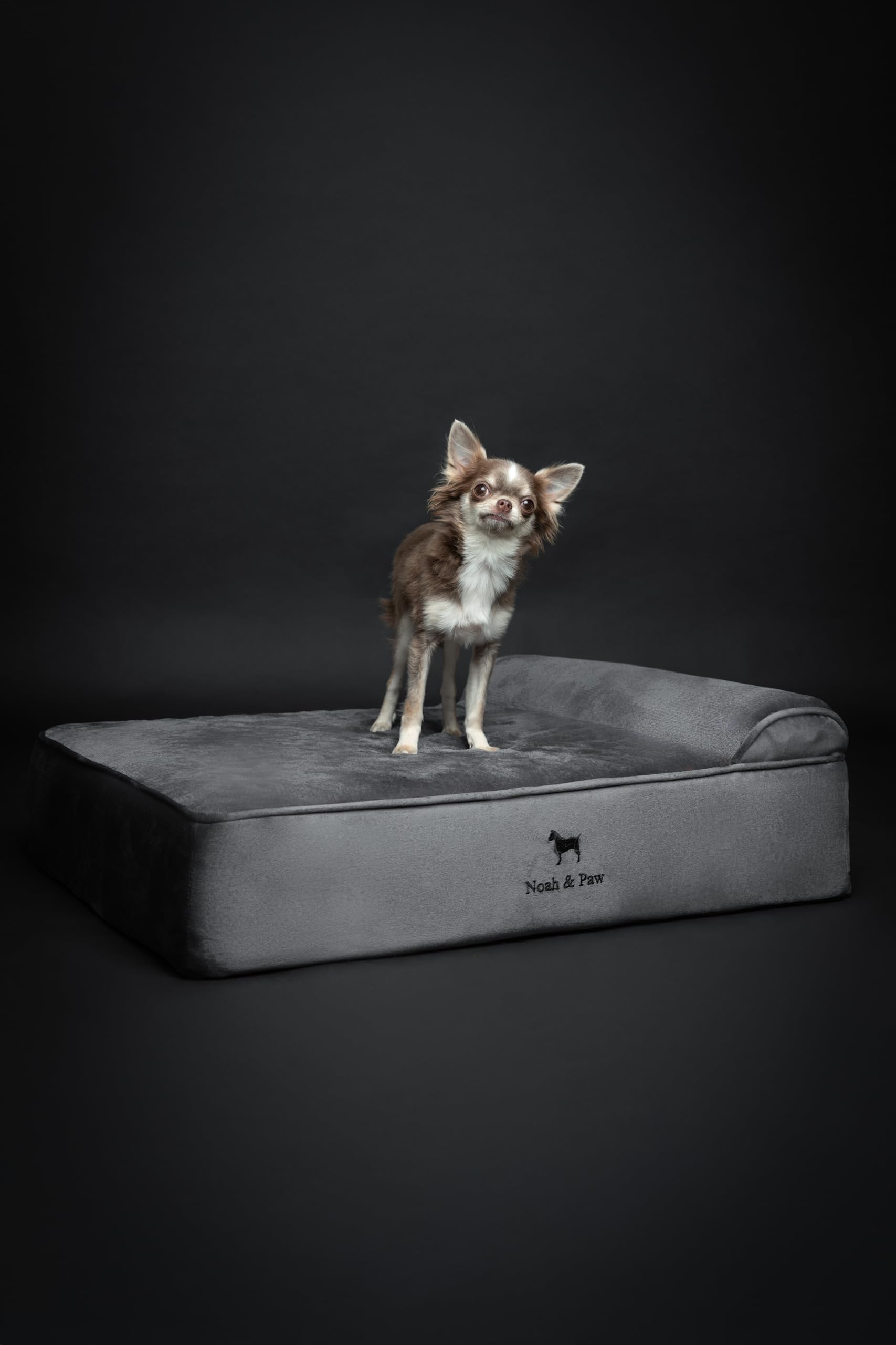 NOAH & PAW waterproof cover on bed protects surfaces during spills or accidents.