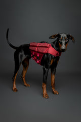 NOAH &amp; PAW dog life jacket front foam panel enhances flotation
