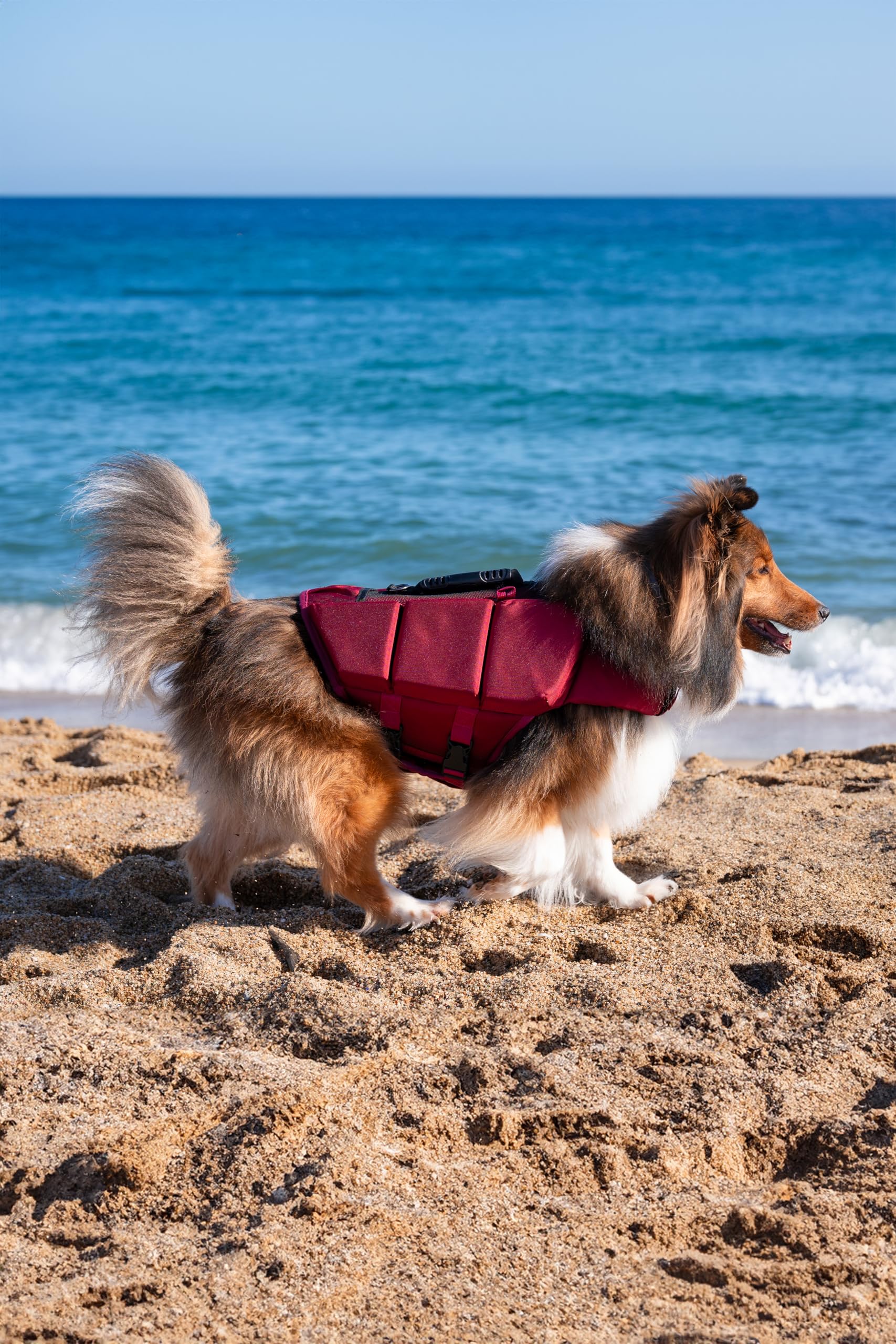 NOAH &amp; PAW dog life jacket leash loop for quick tethering
