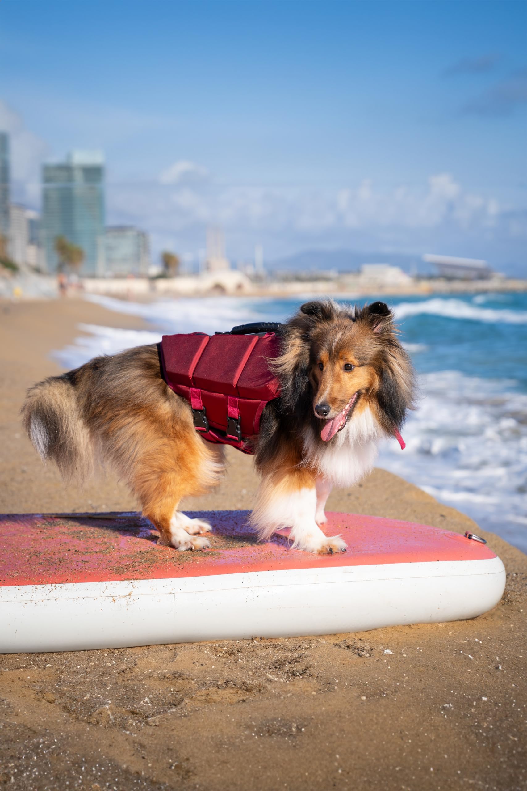 NOAH &amp; PAW dog life jacket quick-adjust belt for easy fit