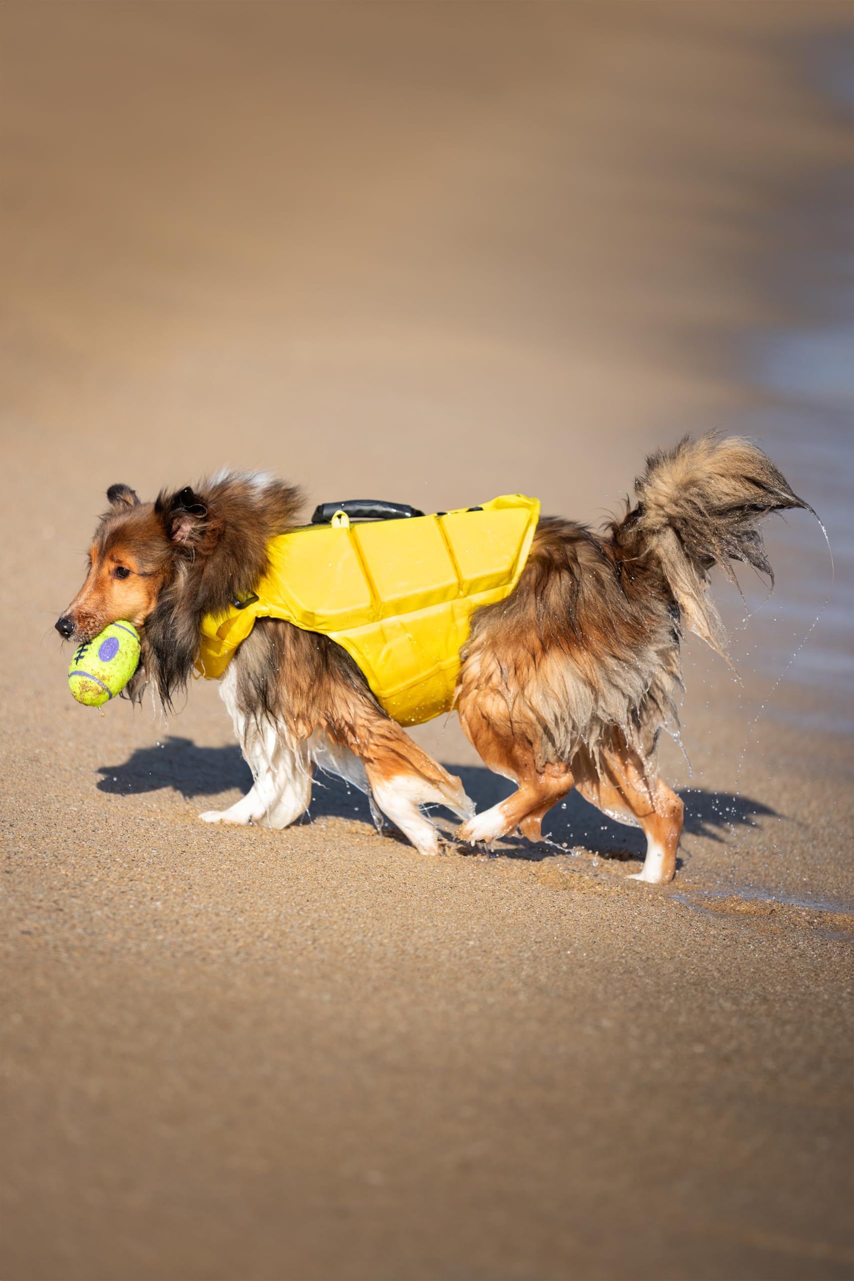 NOAH & PAW life jacket XL quick-adjust belts for easy fit.