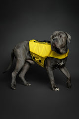 NOAH & PAW life vest XL side-foam panels improve stability in water.