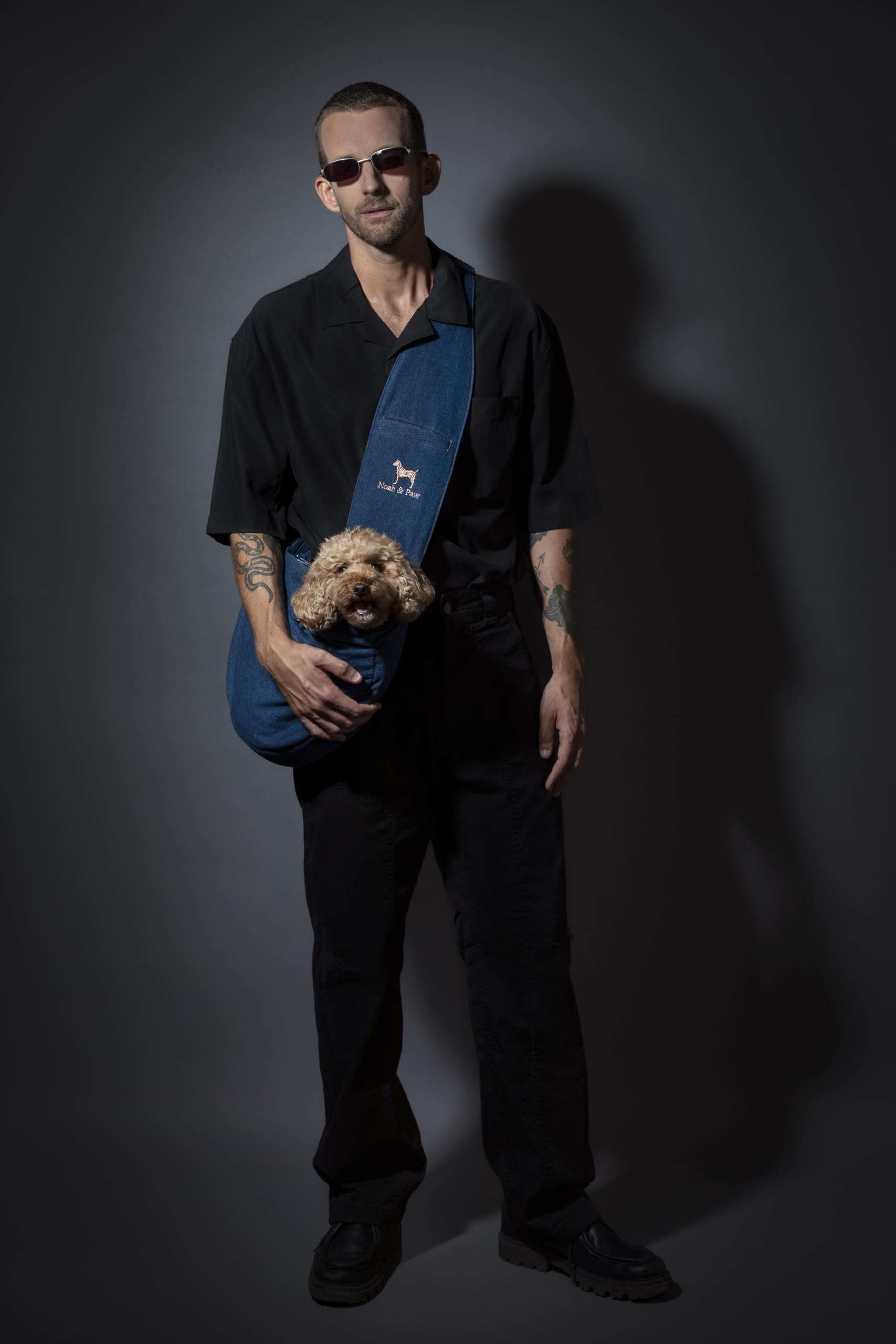 Noah & Paw dog sling safety system highlights three-layer protection during outings.