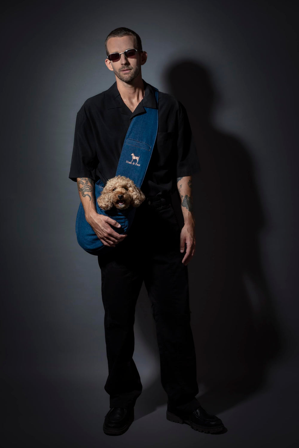Noah & Paw dog sling safety system highlights three-layer protection during outings.