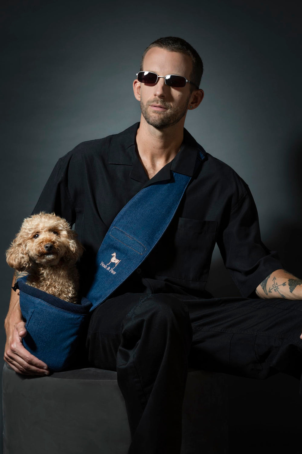 Noah & Paw dog sling in use during walk or travel demonstrates practical everyday use.