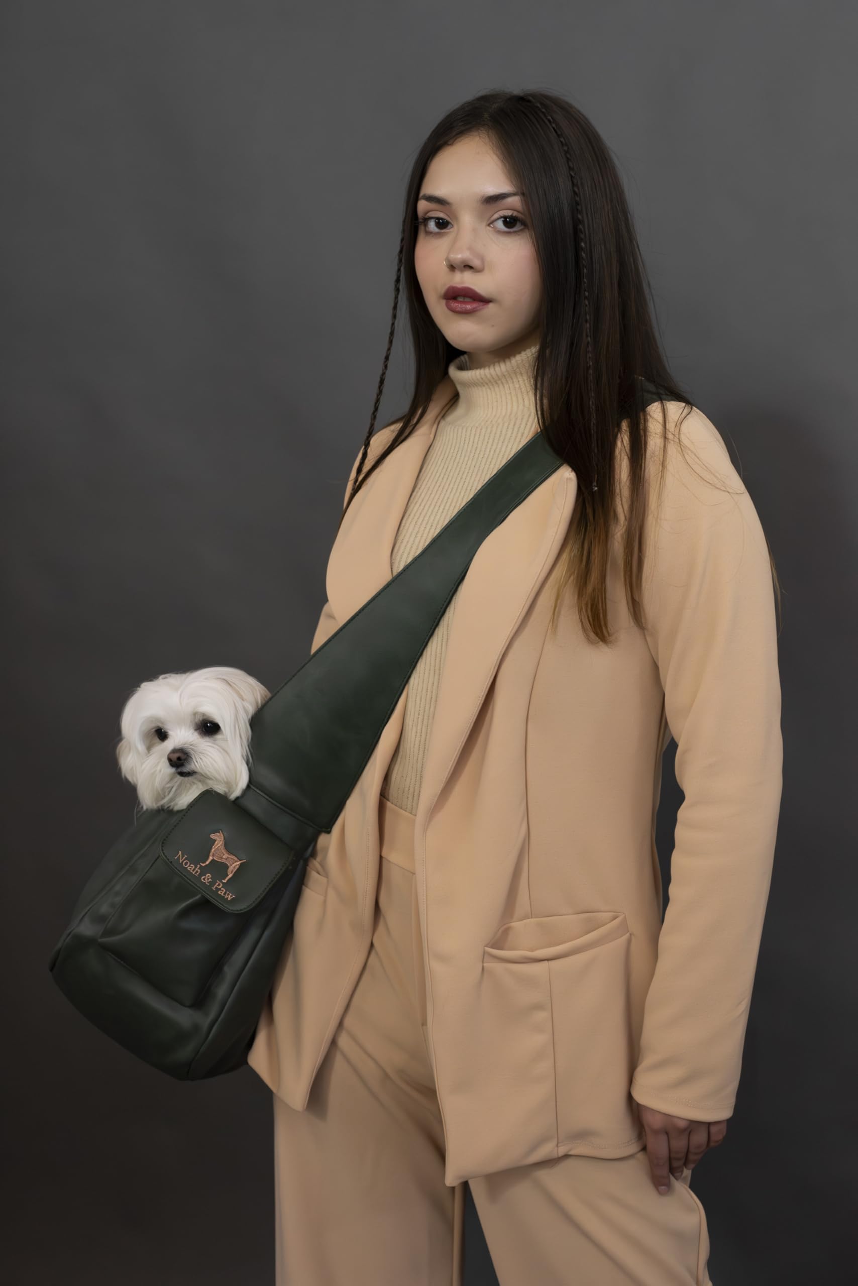 Noah & Paw double safety feature keeps pet secure on outings