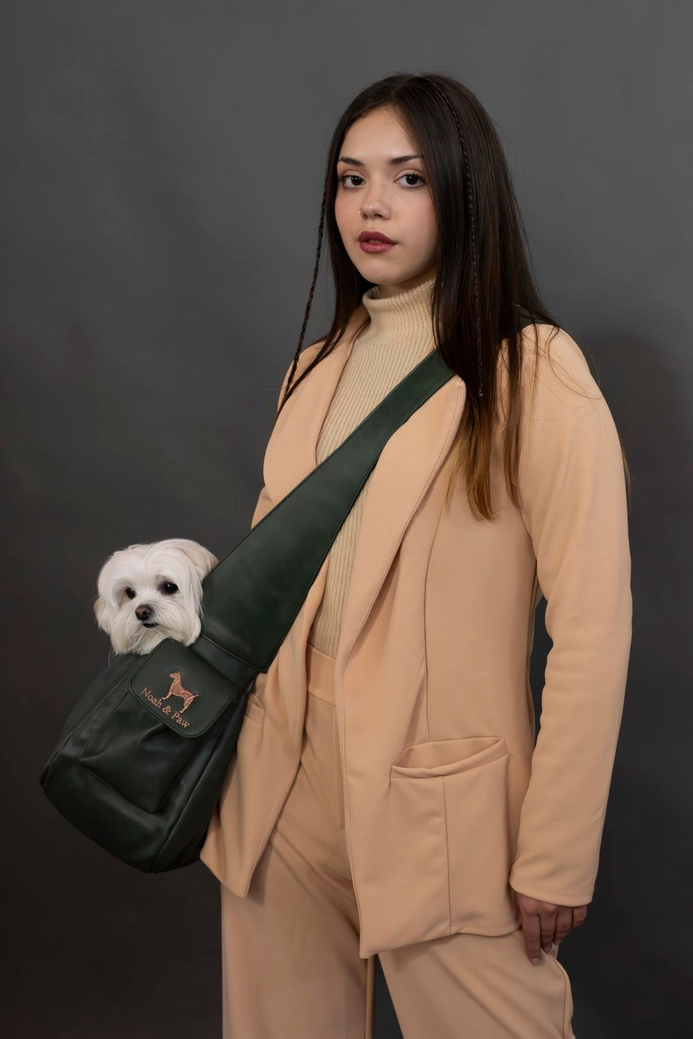 Noah & Paw double safety feature keeps pet secure on outings