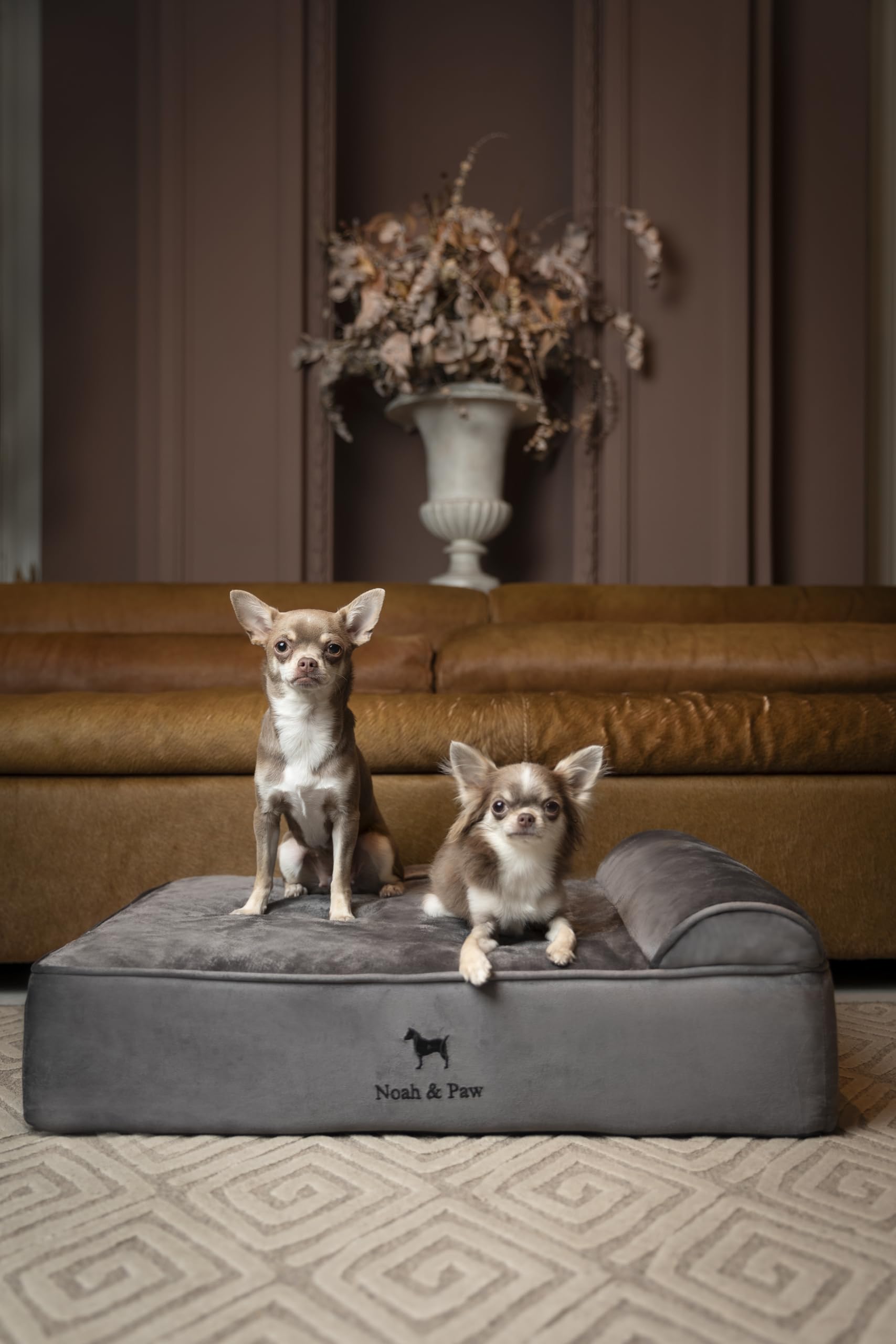 NOAH & PAW eggshell memory foam closeup highlights cooling gel for temperature regulation.