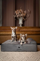 NOAH & PAW eggshell memory foam closeup highlights cooling gel for temperature regulation.