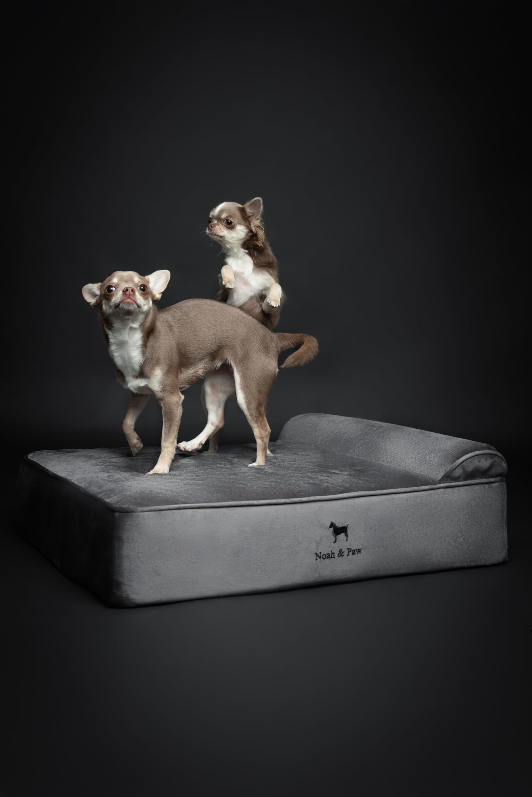 NOAH & PAW 3-layer foam construction emphasizes supportive, durable comfort for pets.