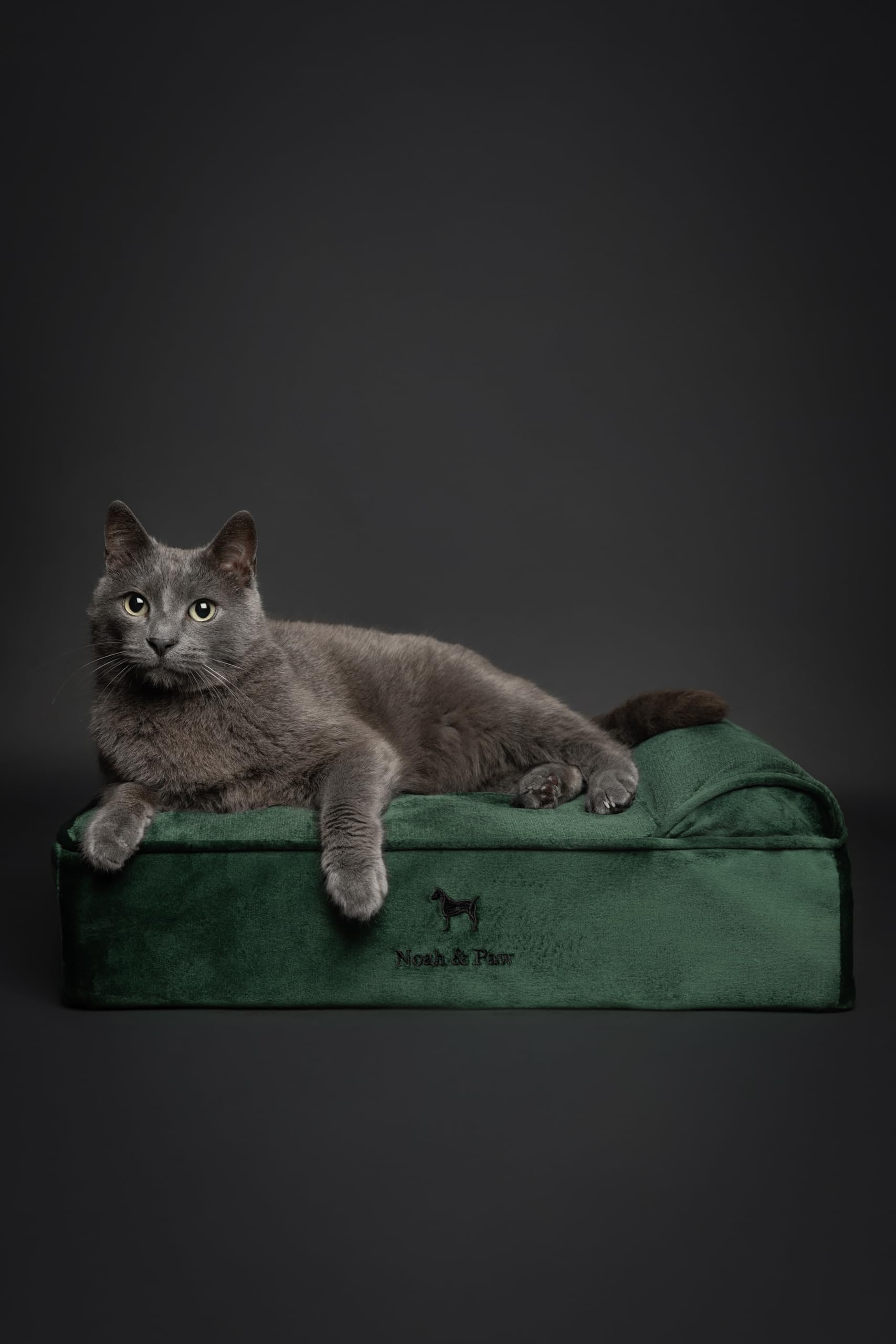 NOAH & PAW foam layers cross-section illustrating cooling gel-infused memory foam for comfort.