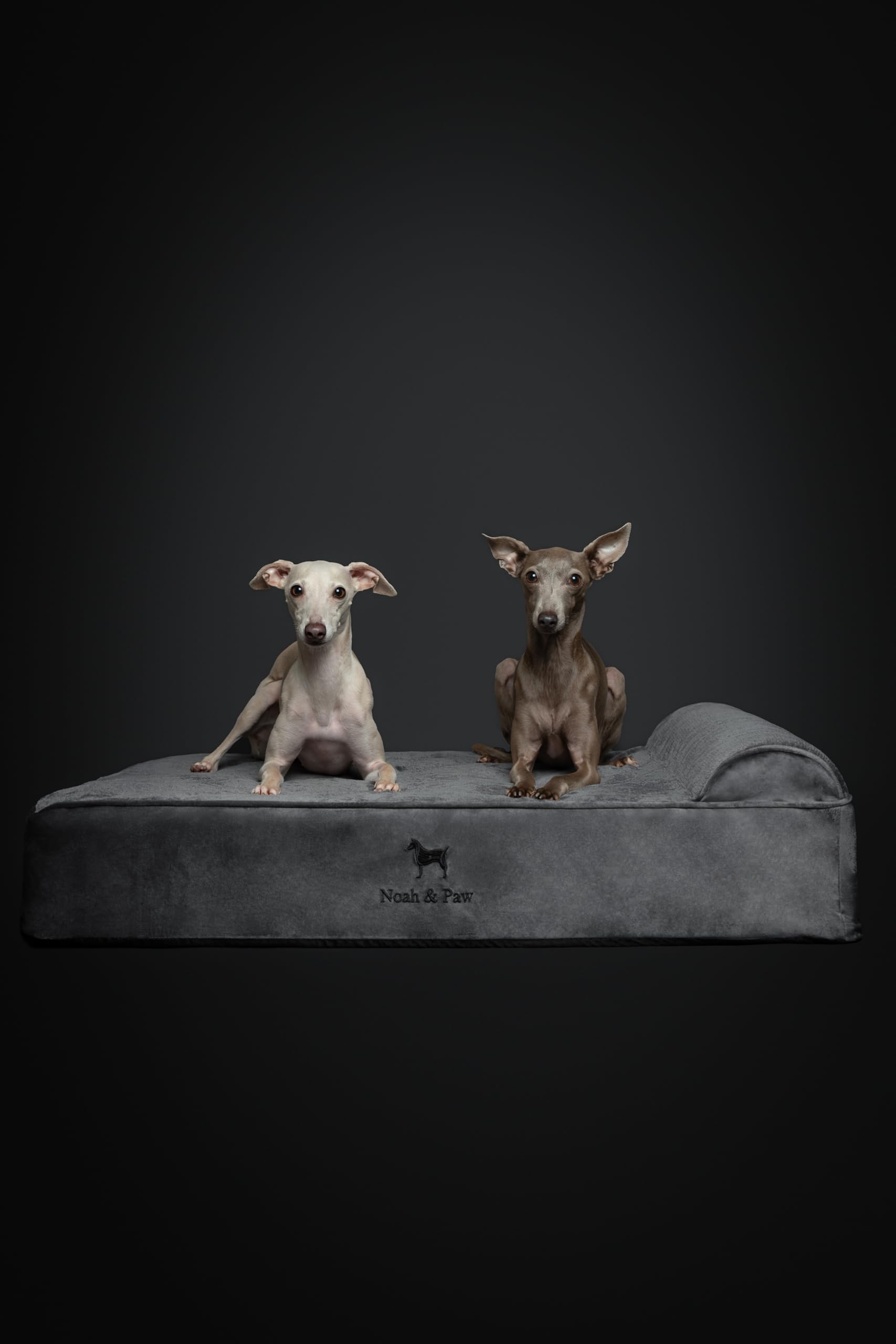 NOAH & PAW bed dimensions 35x25x8.7 inches shown.