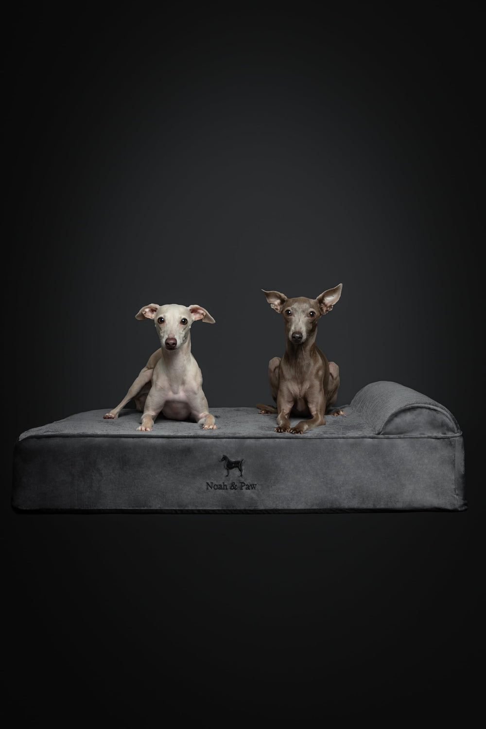 NOAH & PAW bed dimensions 35x25x8.7 inches shown.