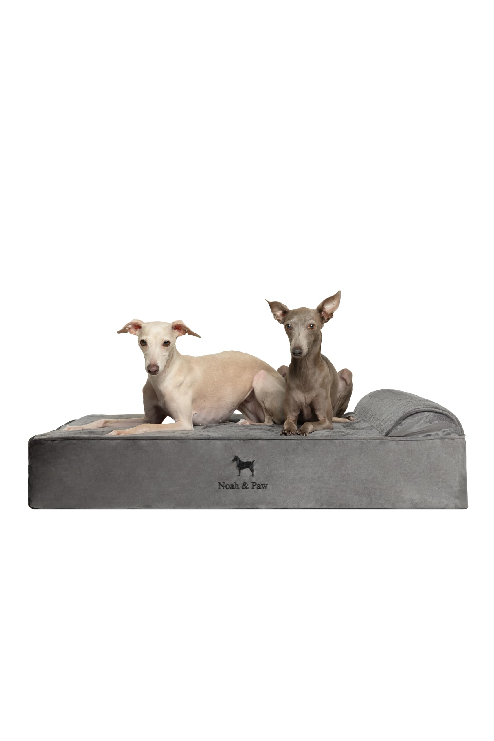 NOAH & PAW large dog bed foam detail cushions joints.