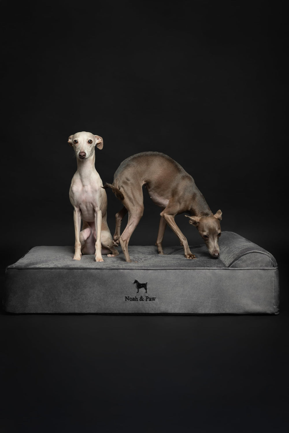 NOAH & PAW product image highlights washable covers.